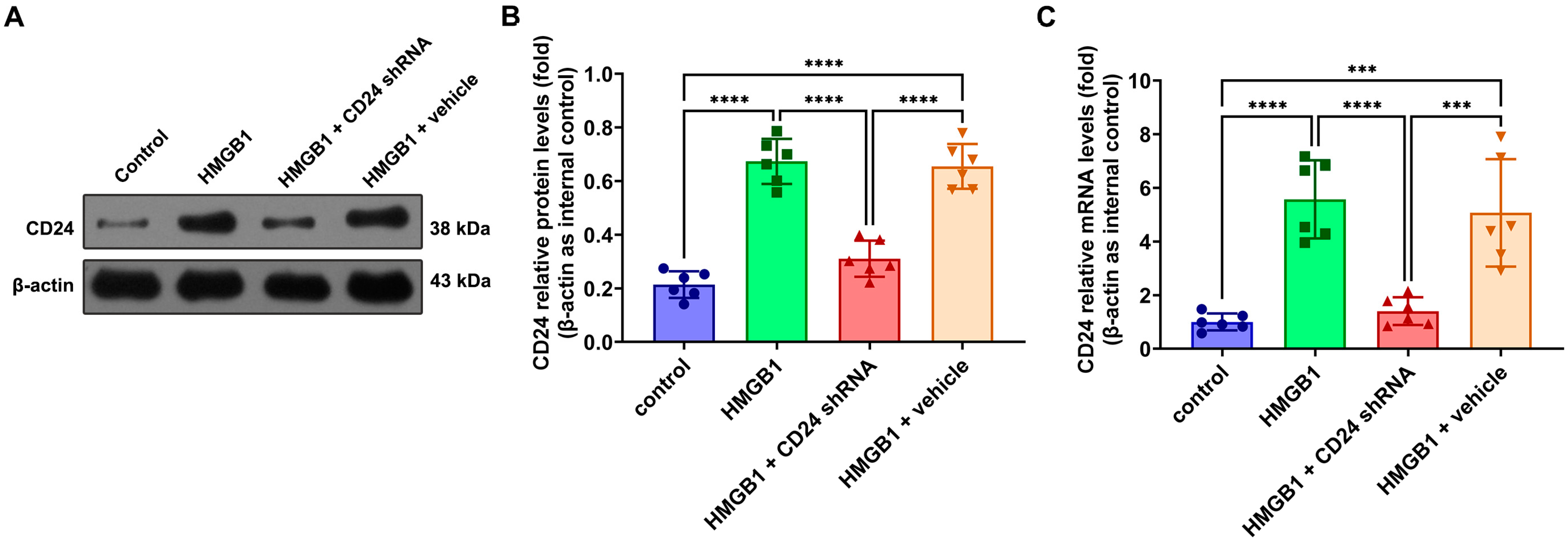 Brainsci 12 01119 g002