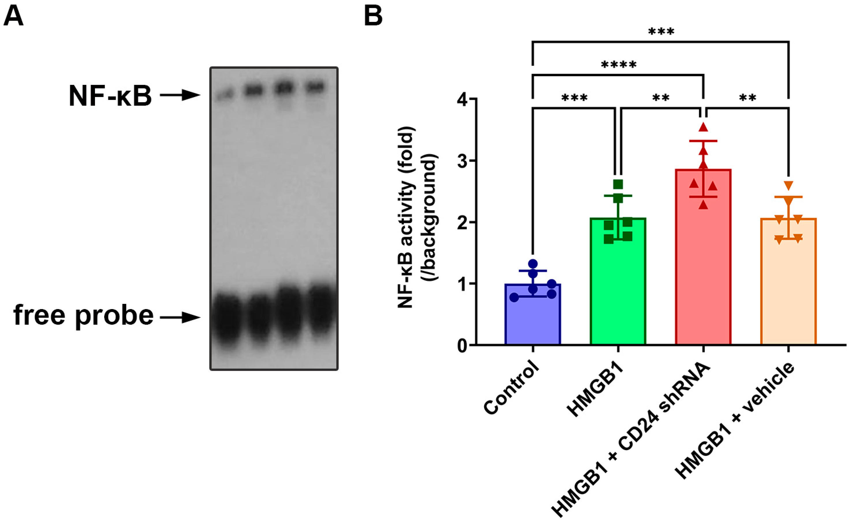Brainsci 12 01119 g003