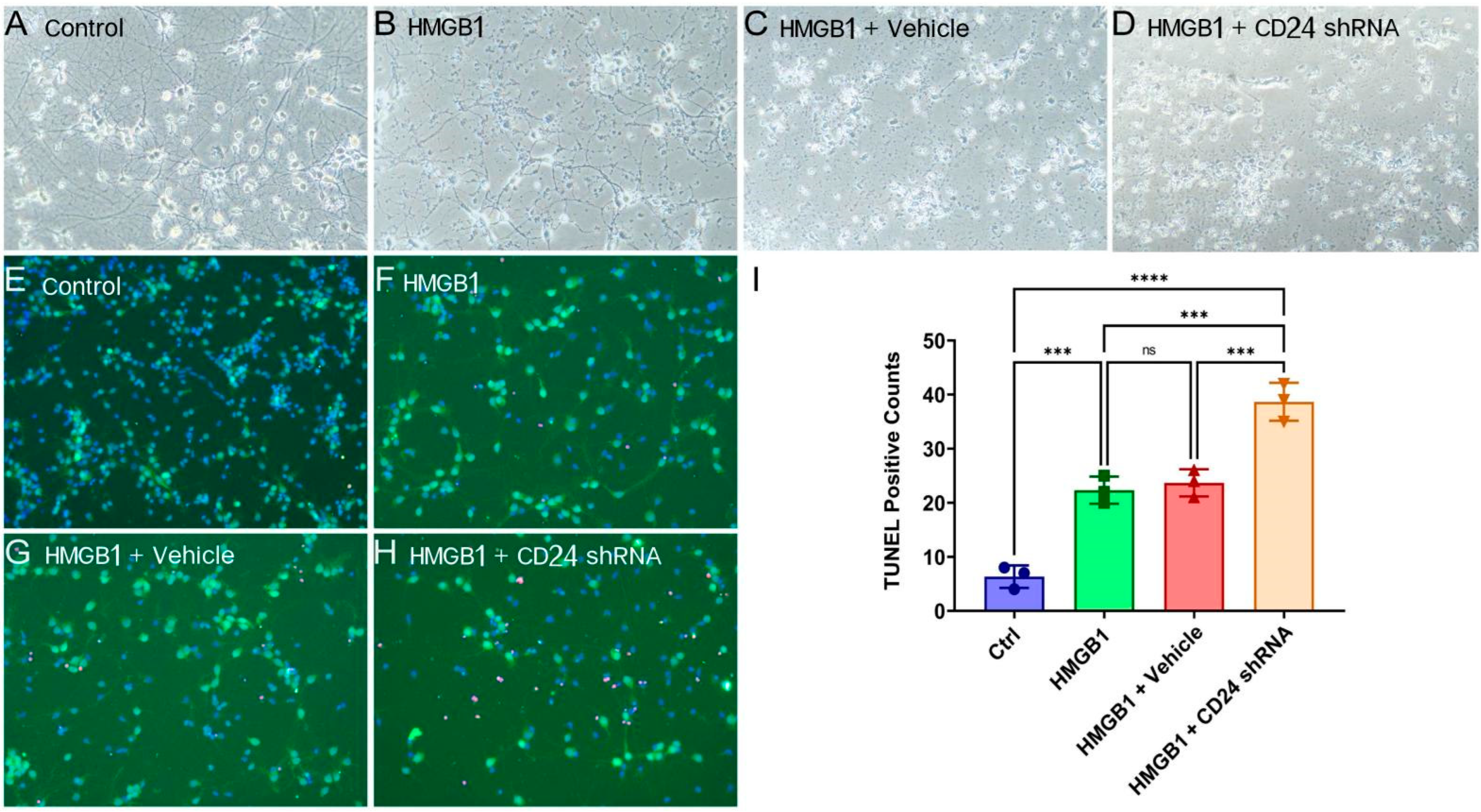 Brainsci 12 01119 g004