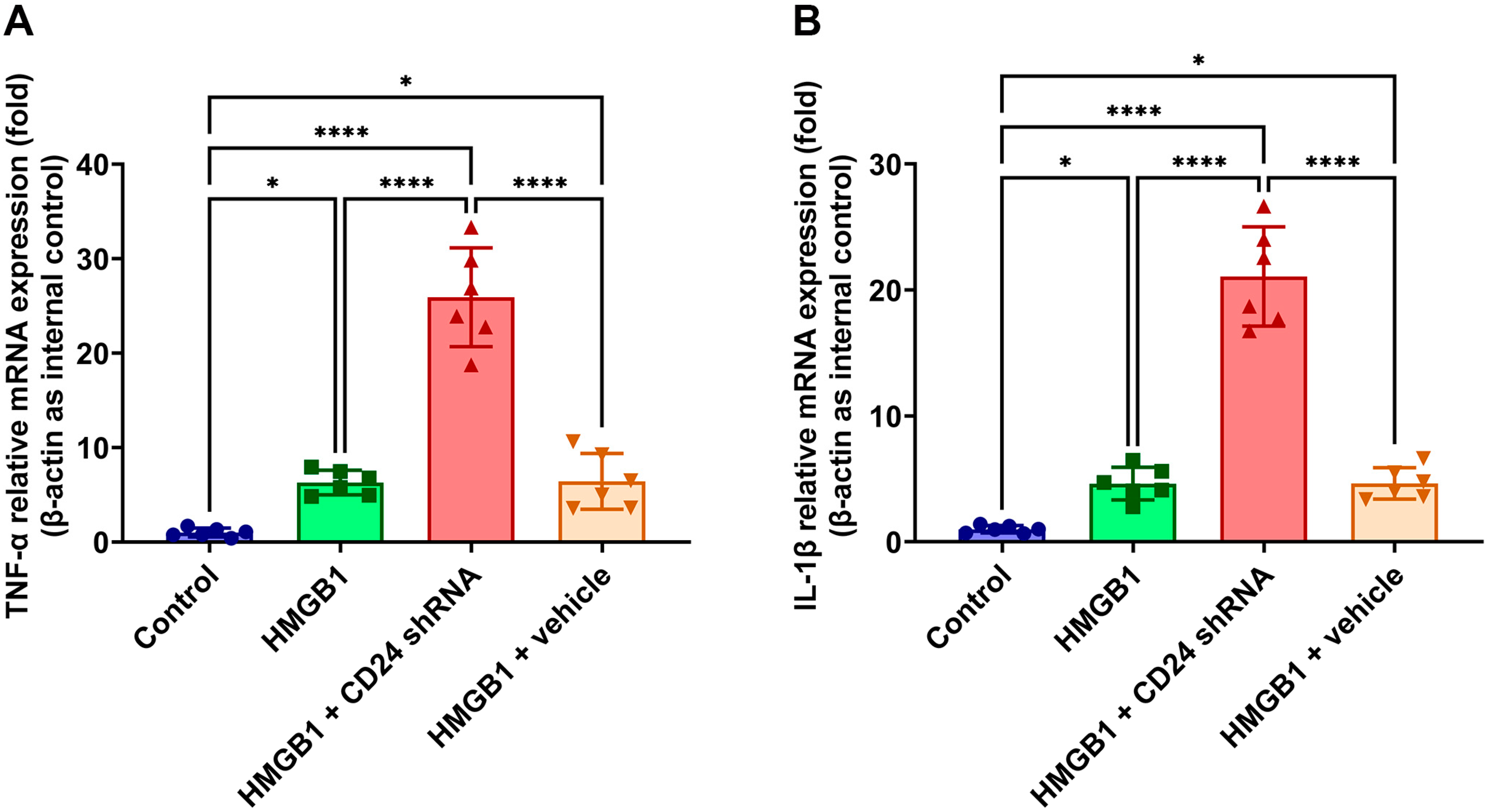Brainsci 12 01119 g005