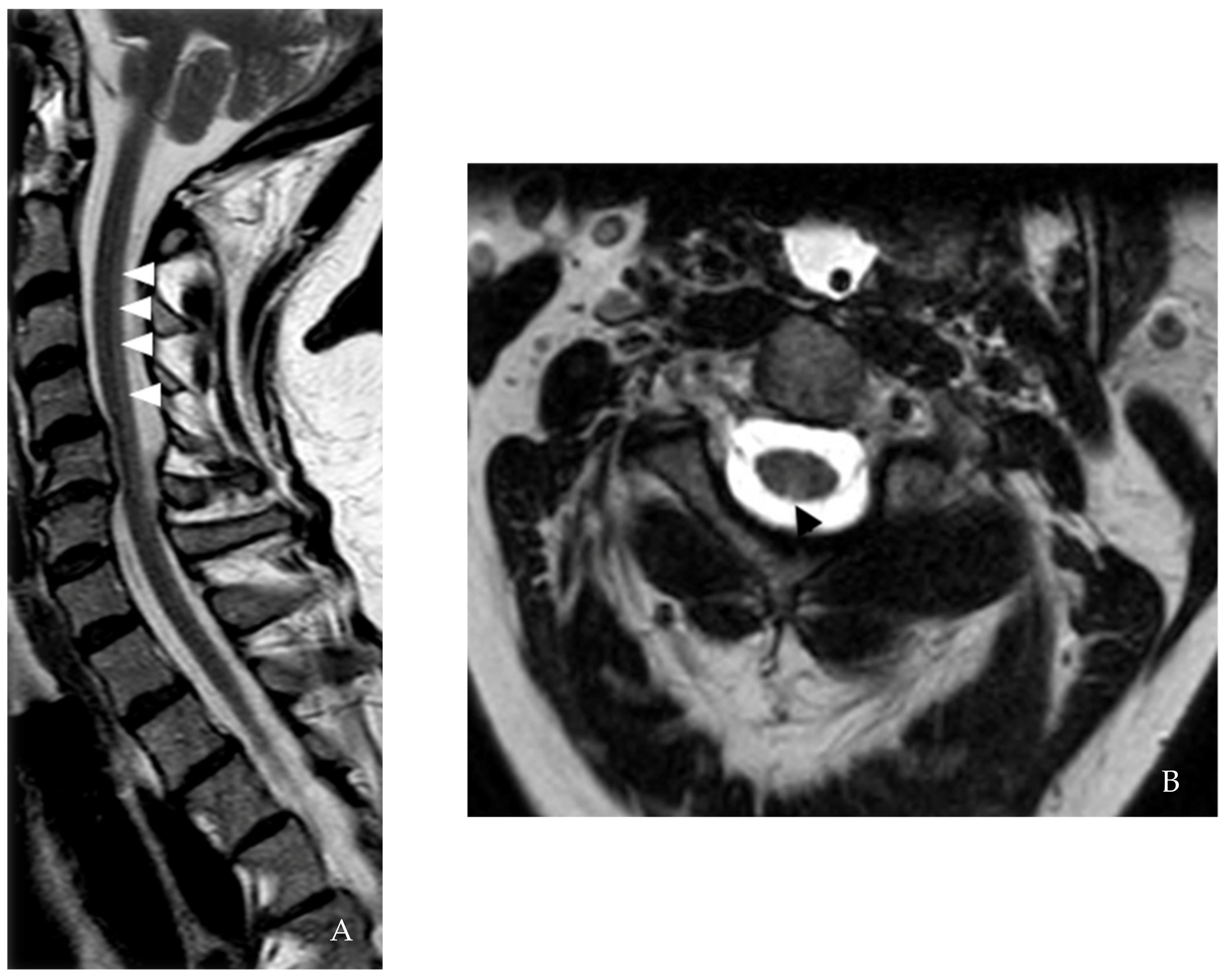 Brainsci 12 01124 g001
