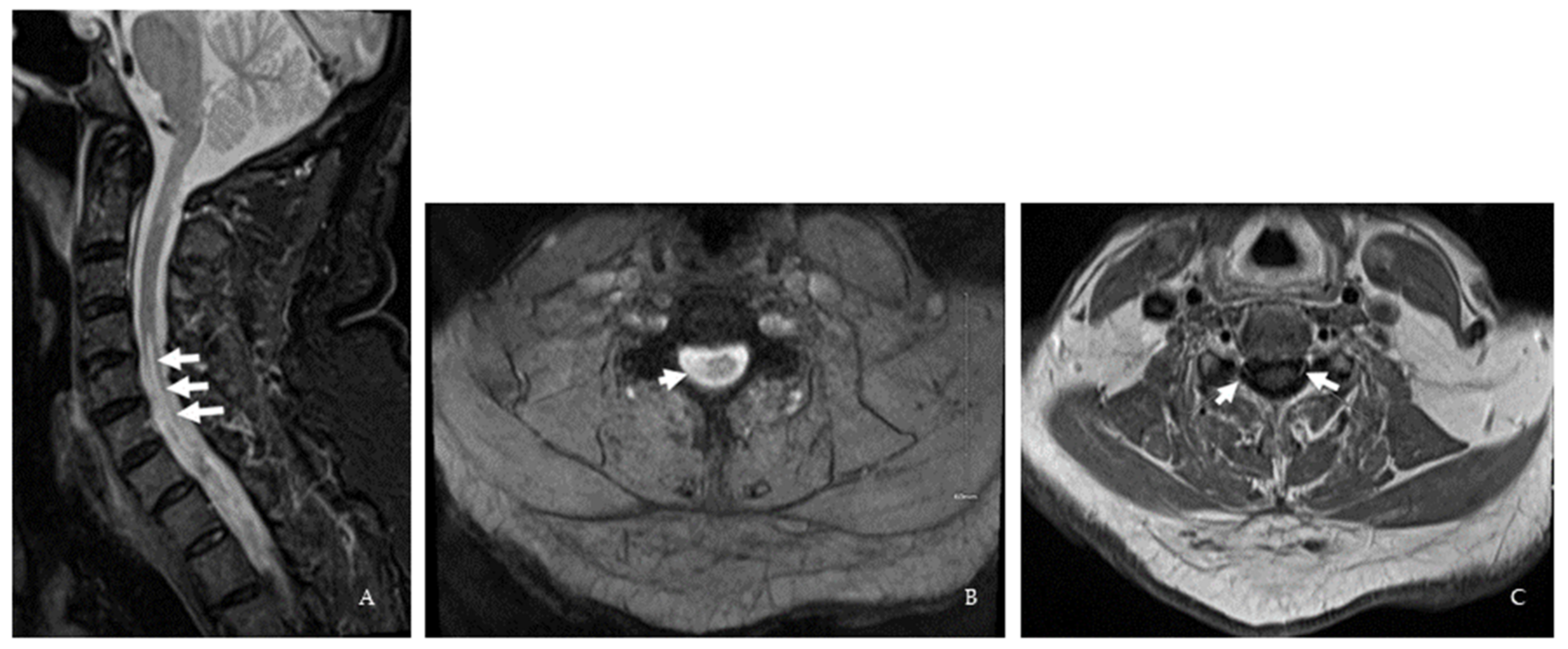 Brainsci 12 01124 g004