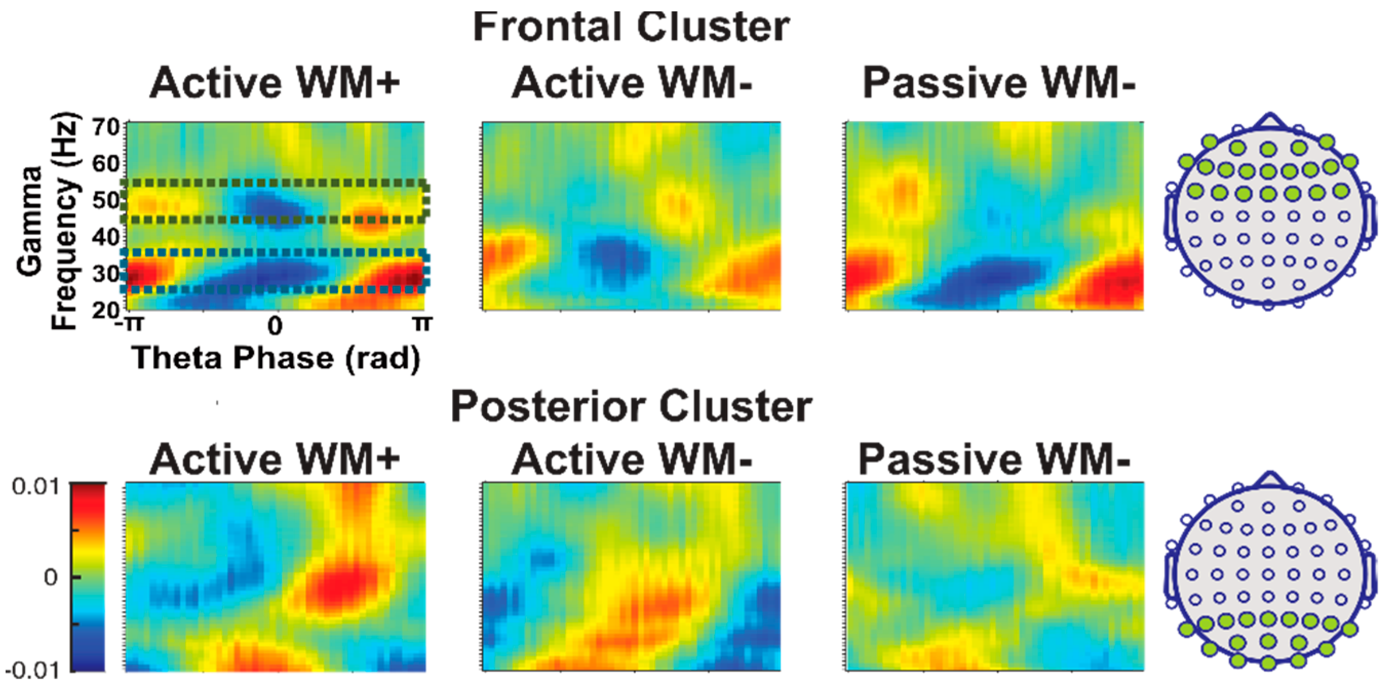 Brainsci 12 01131 g003