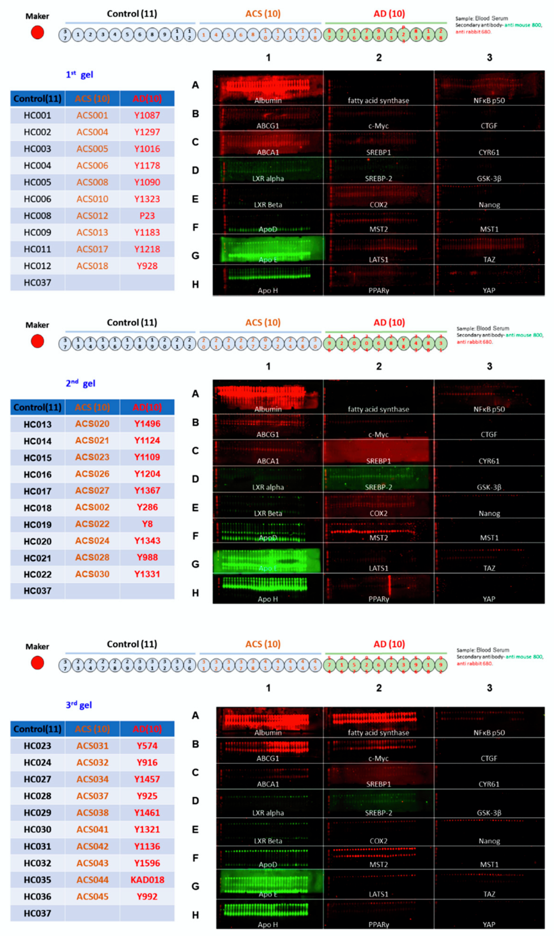 Brainsci 12 01134 g002