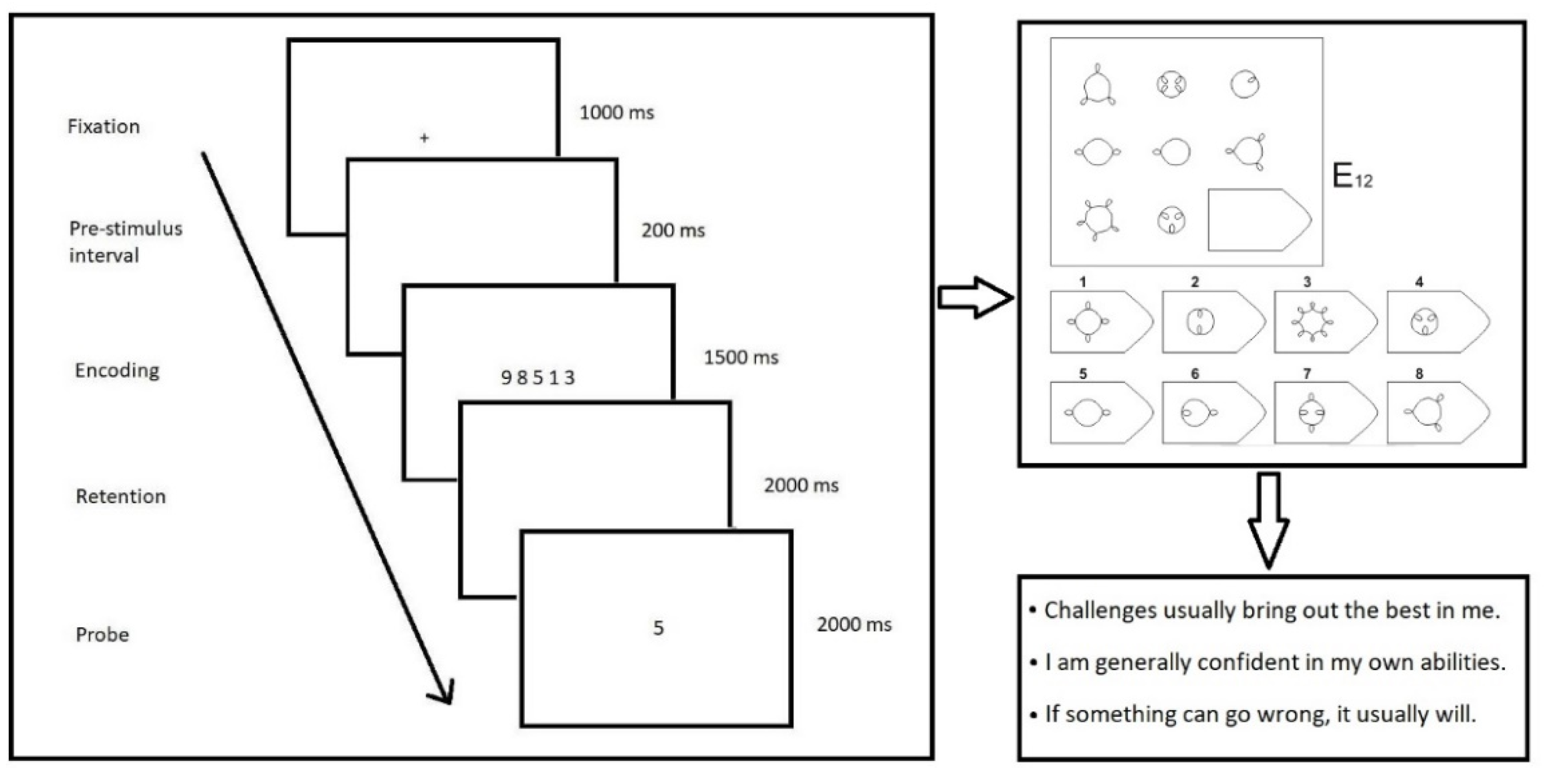 Brainsci 12 01135 g001