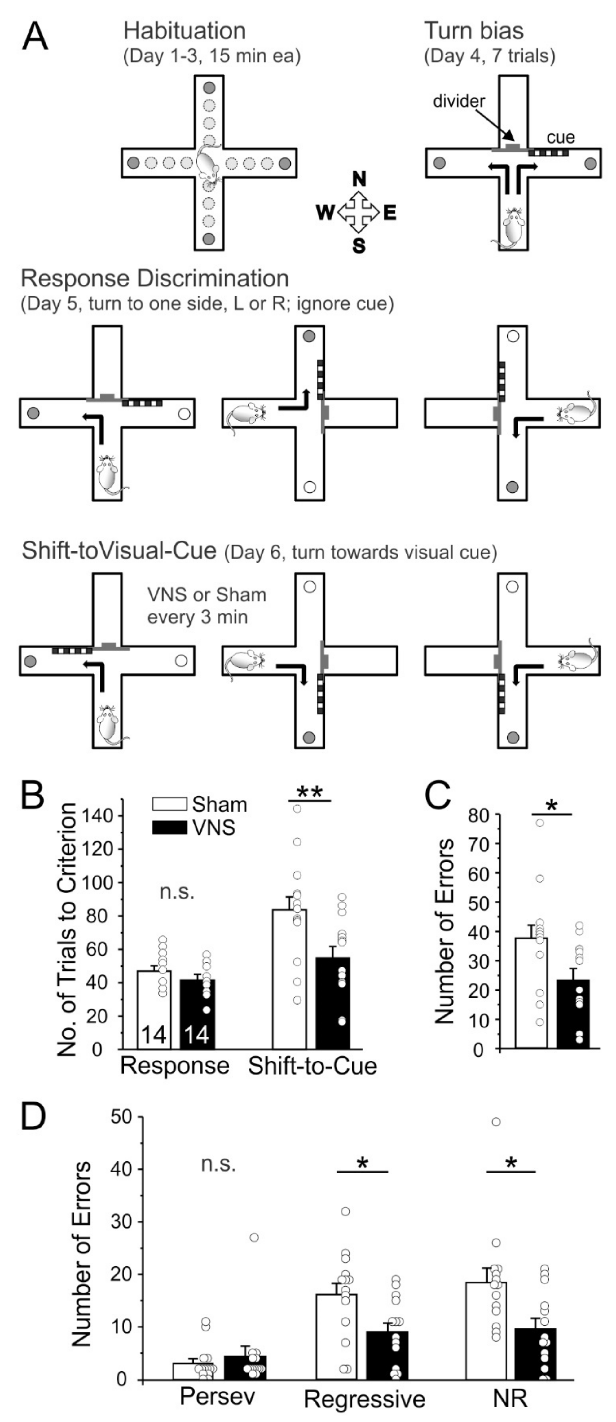 Brainsci 12 01137 g001