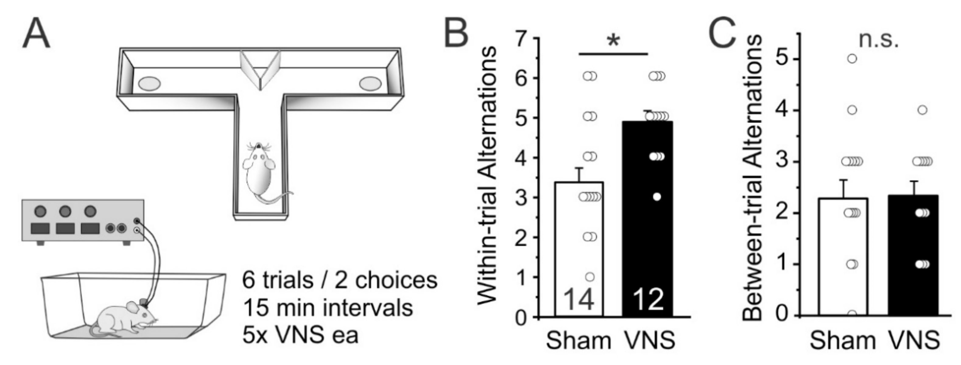 Brainsci 12 01137 g002