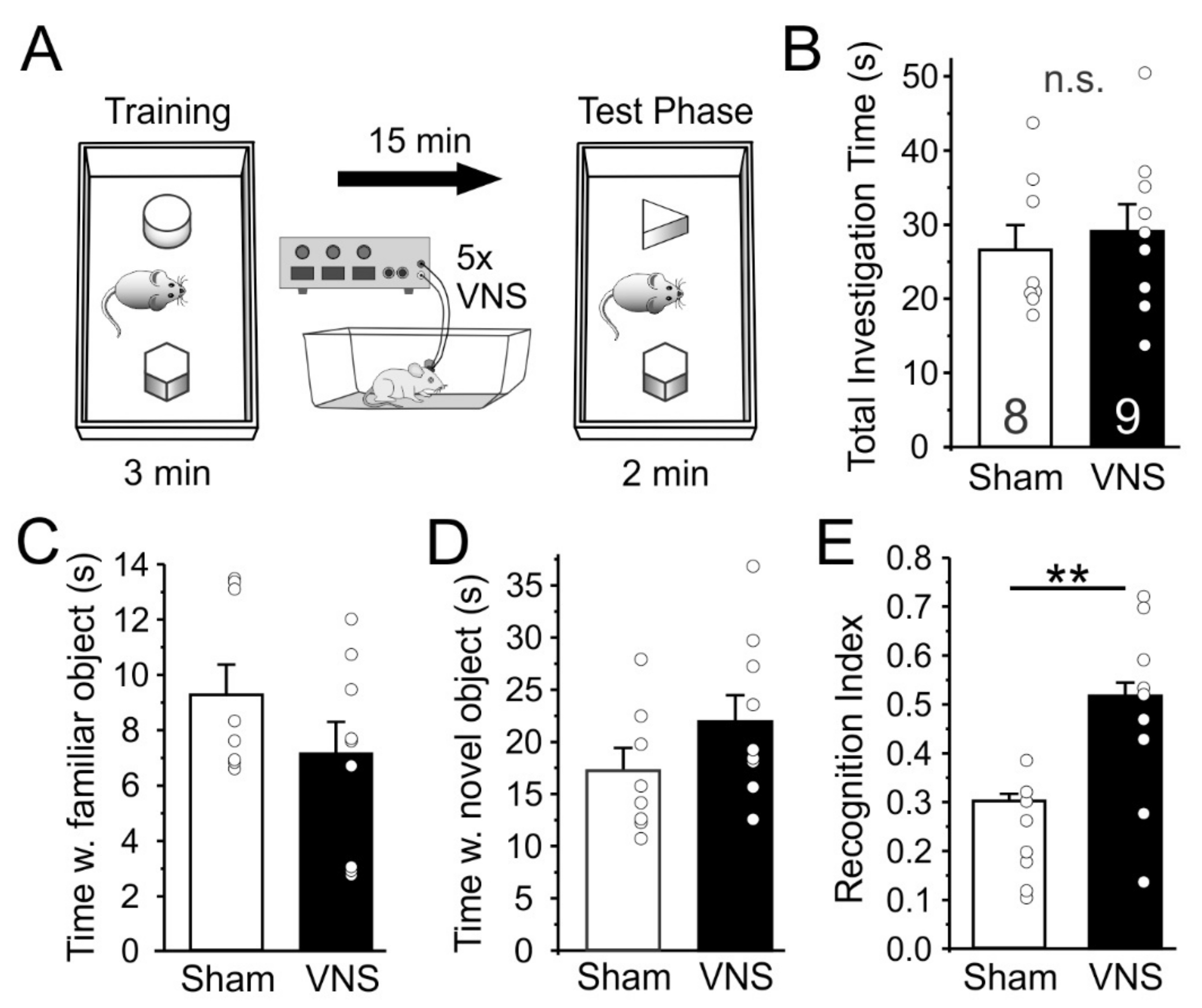 Brainsci 12 01137 g003