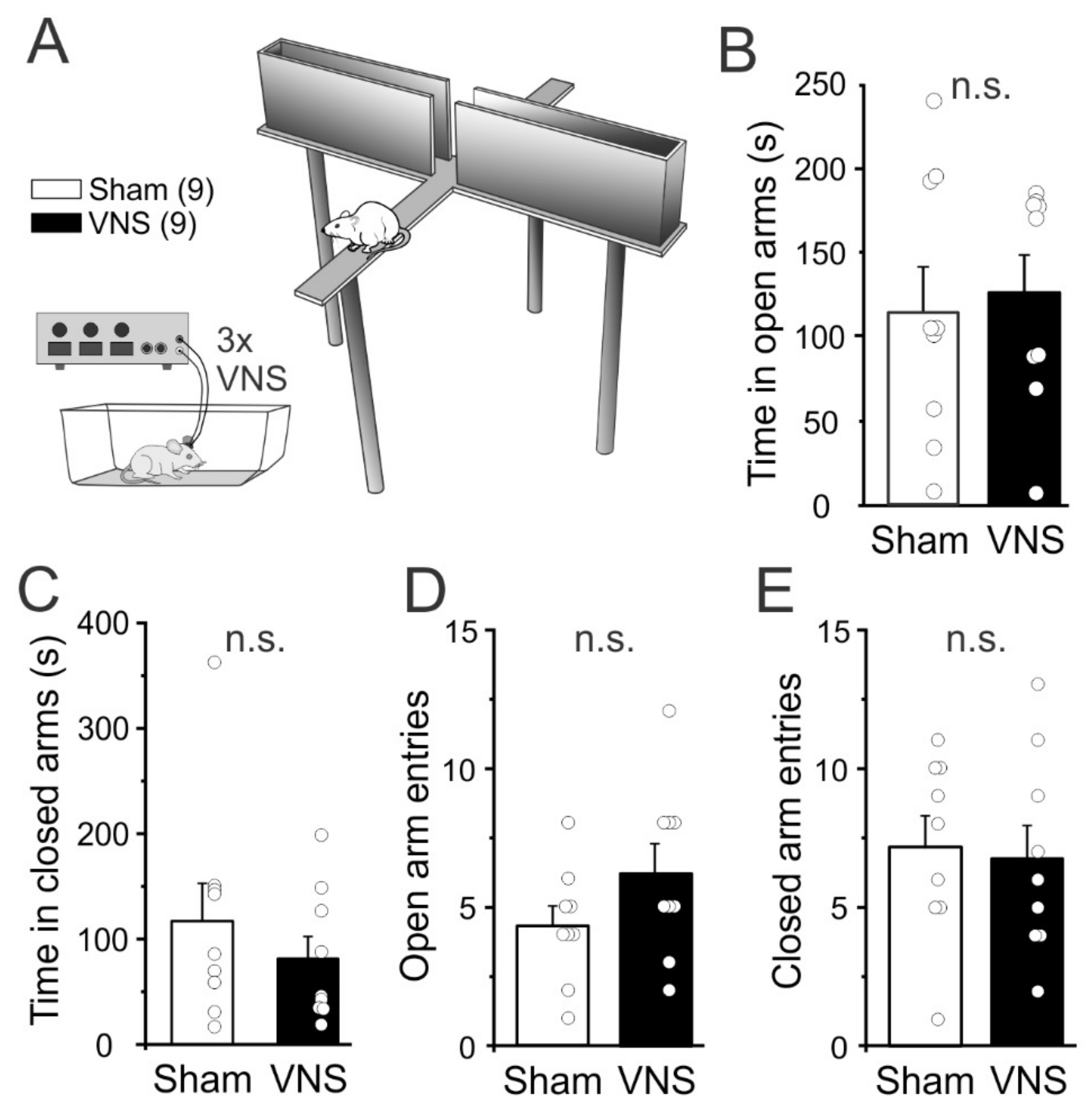 Brainsci 12 01137 g004