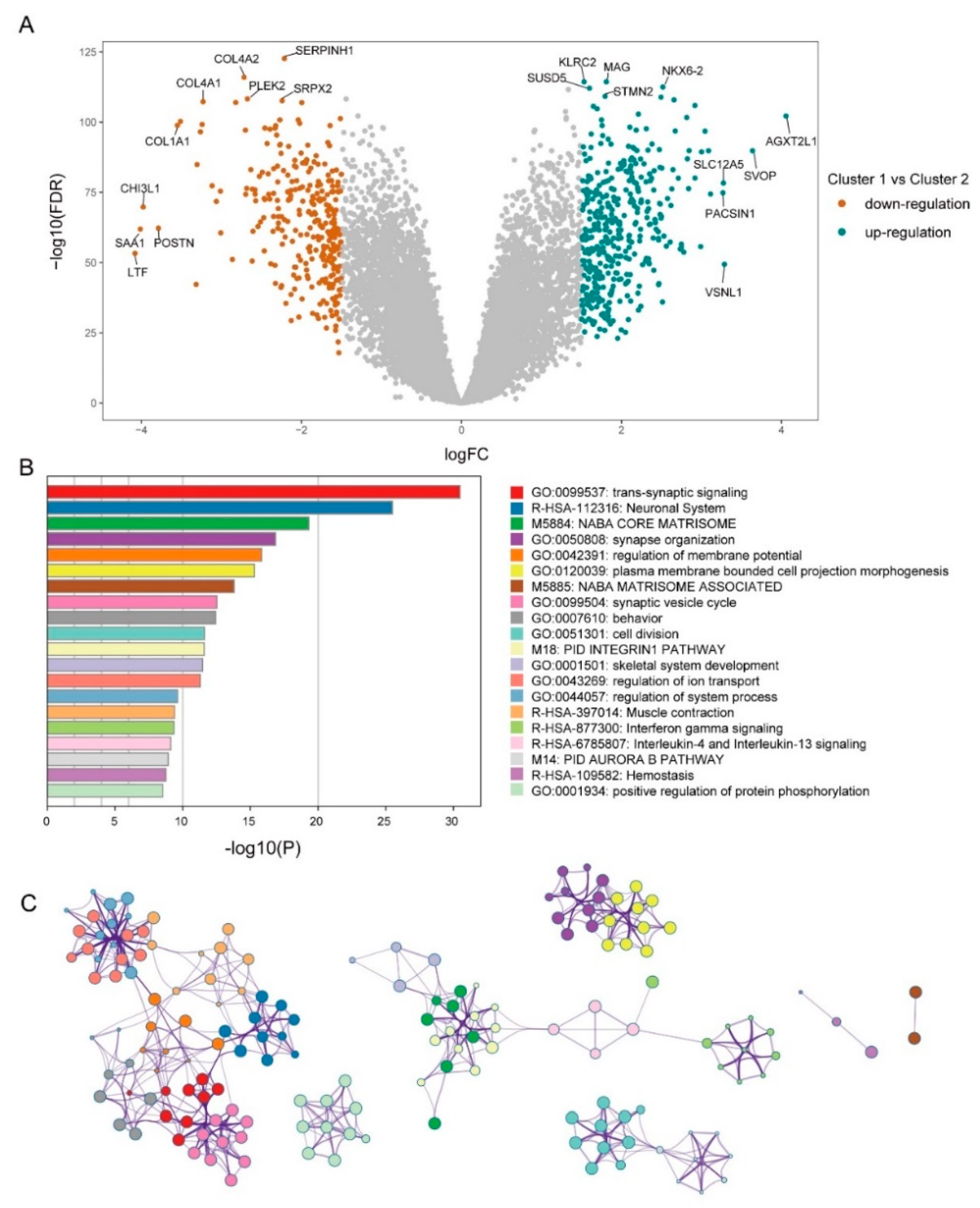 Brainsci 12 01138 g004 550