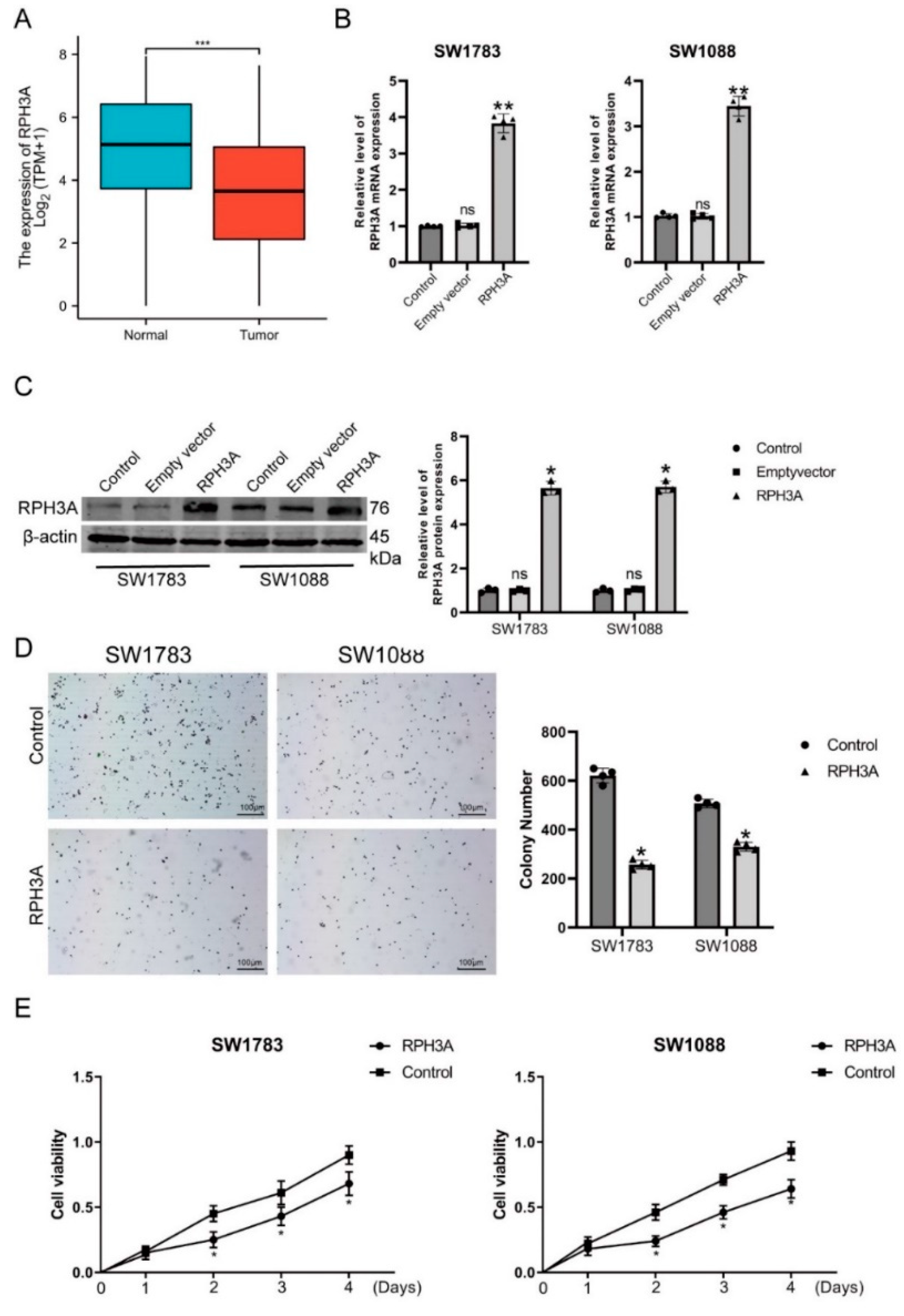 Brainsci 12 01138 g009 550
