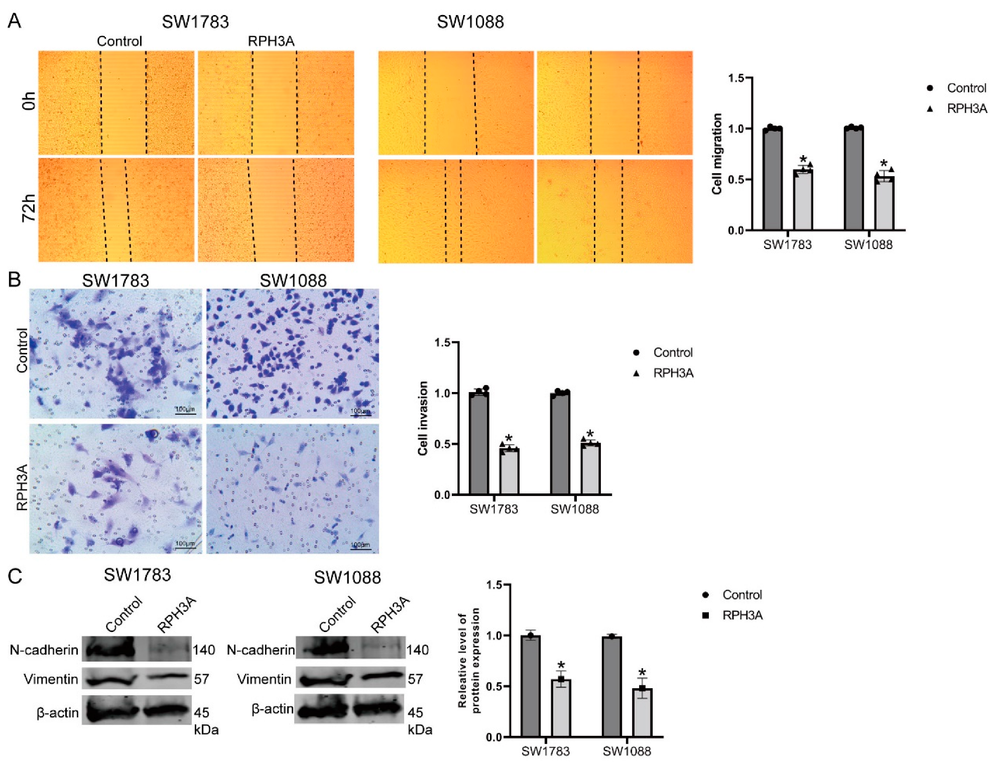 Brainsci 12 01138 g010 550