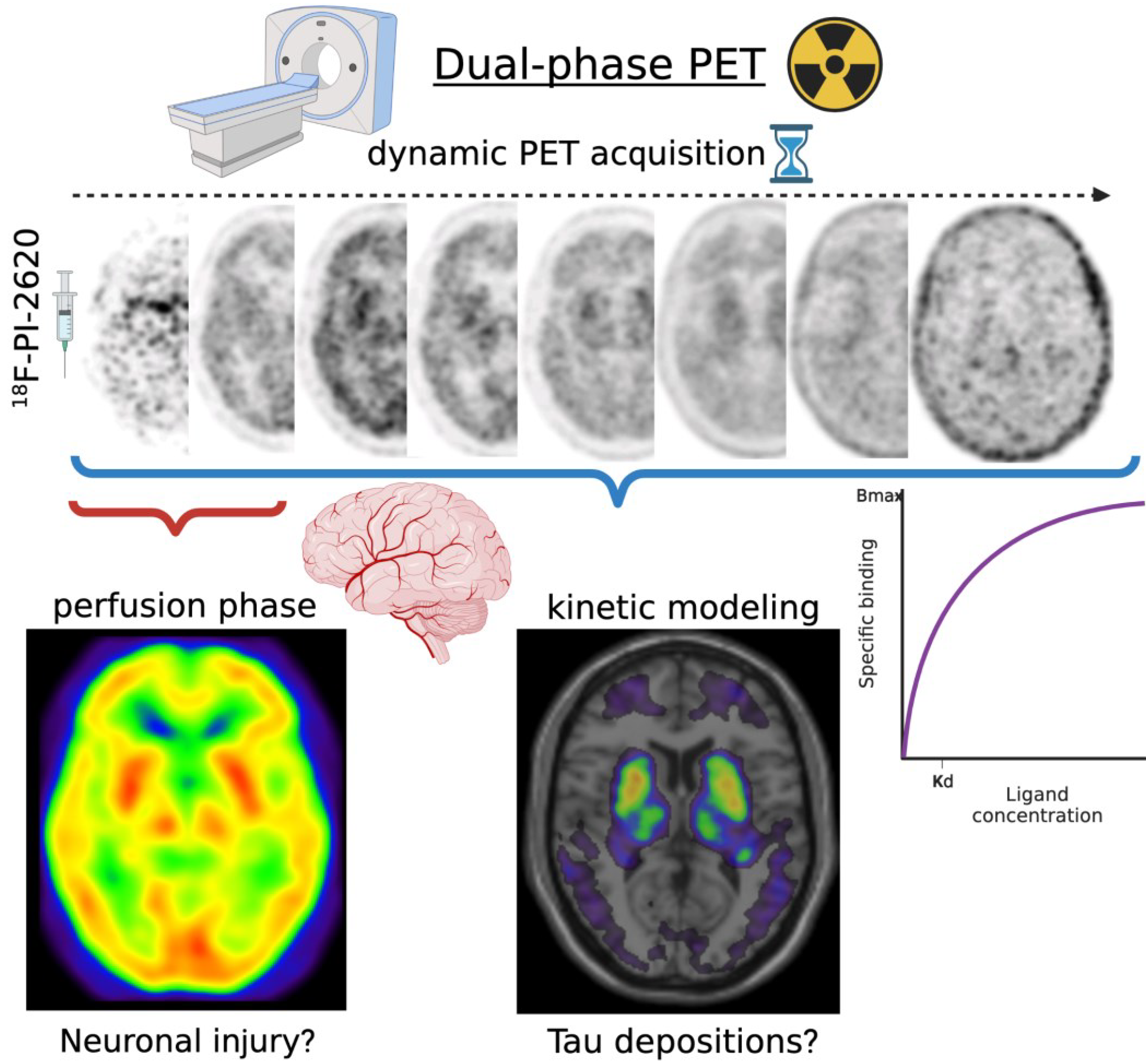 Brain Sciences Free Full-Text Molecular Imaging in Parkinsonian Disordersandmdash;Whatandrsquo;s New and Hot?