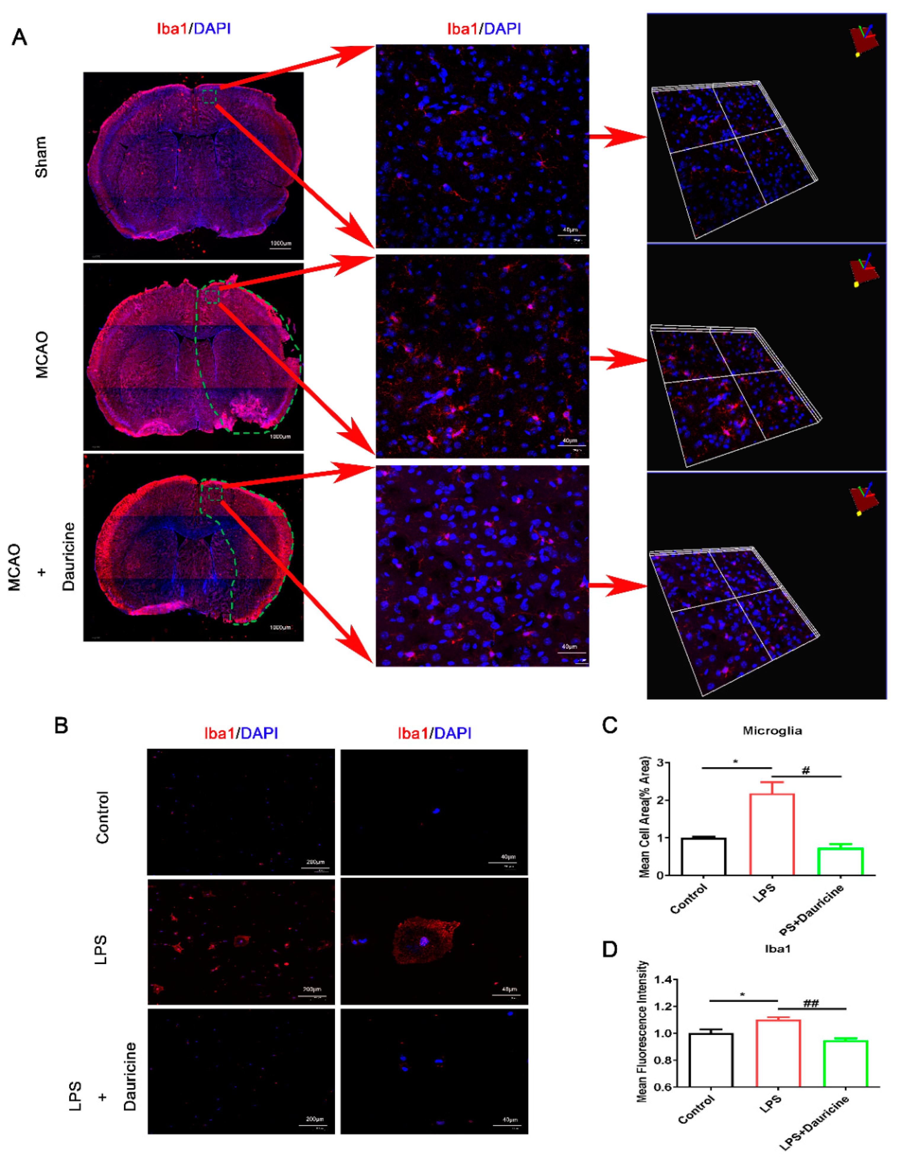 Brainsci 12 01153 g003 550