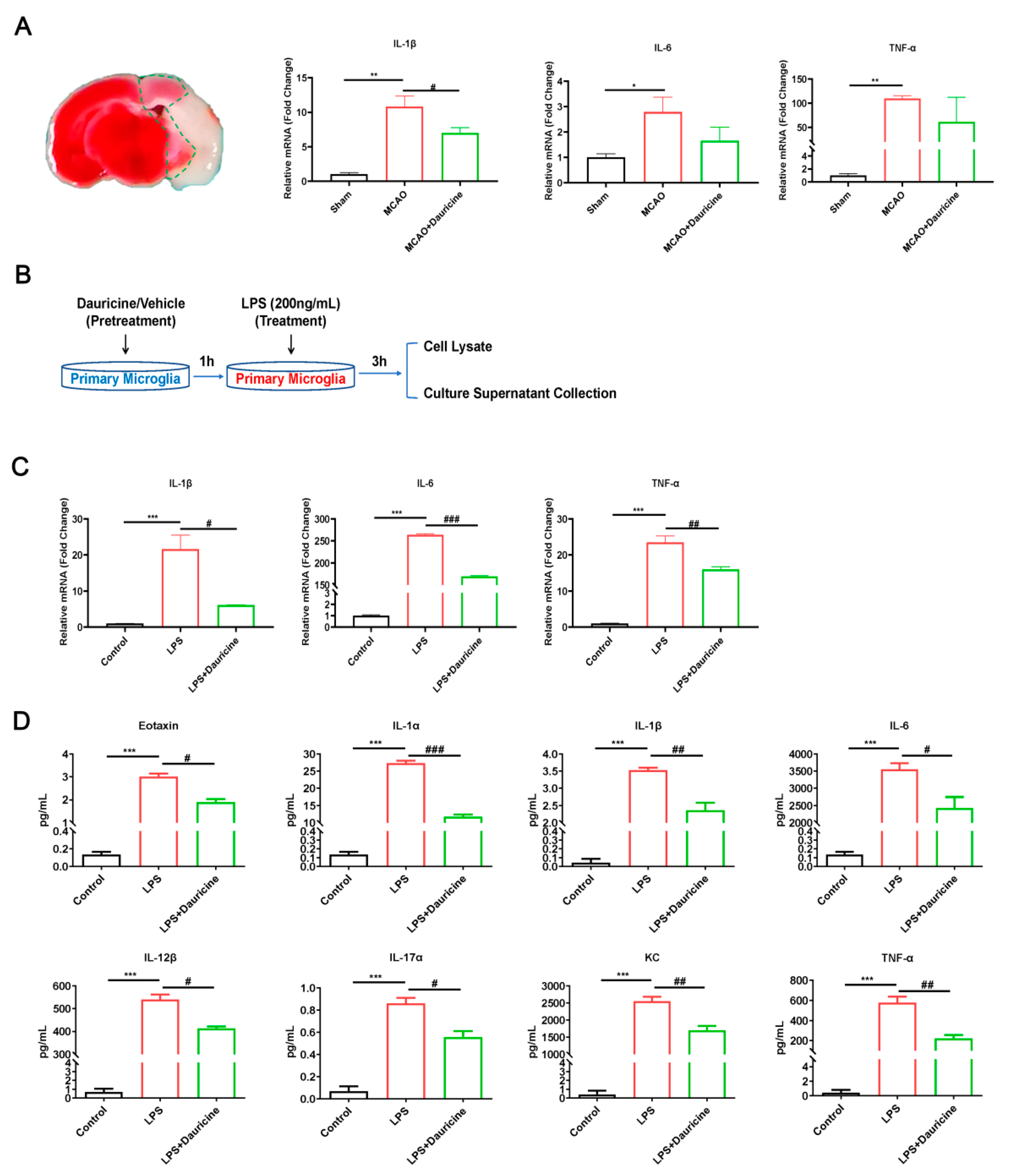 Brainsci 12 01153 g004 550