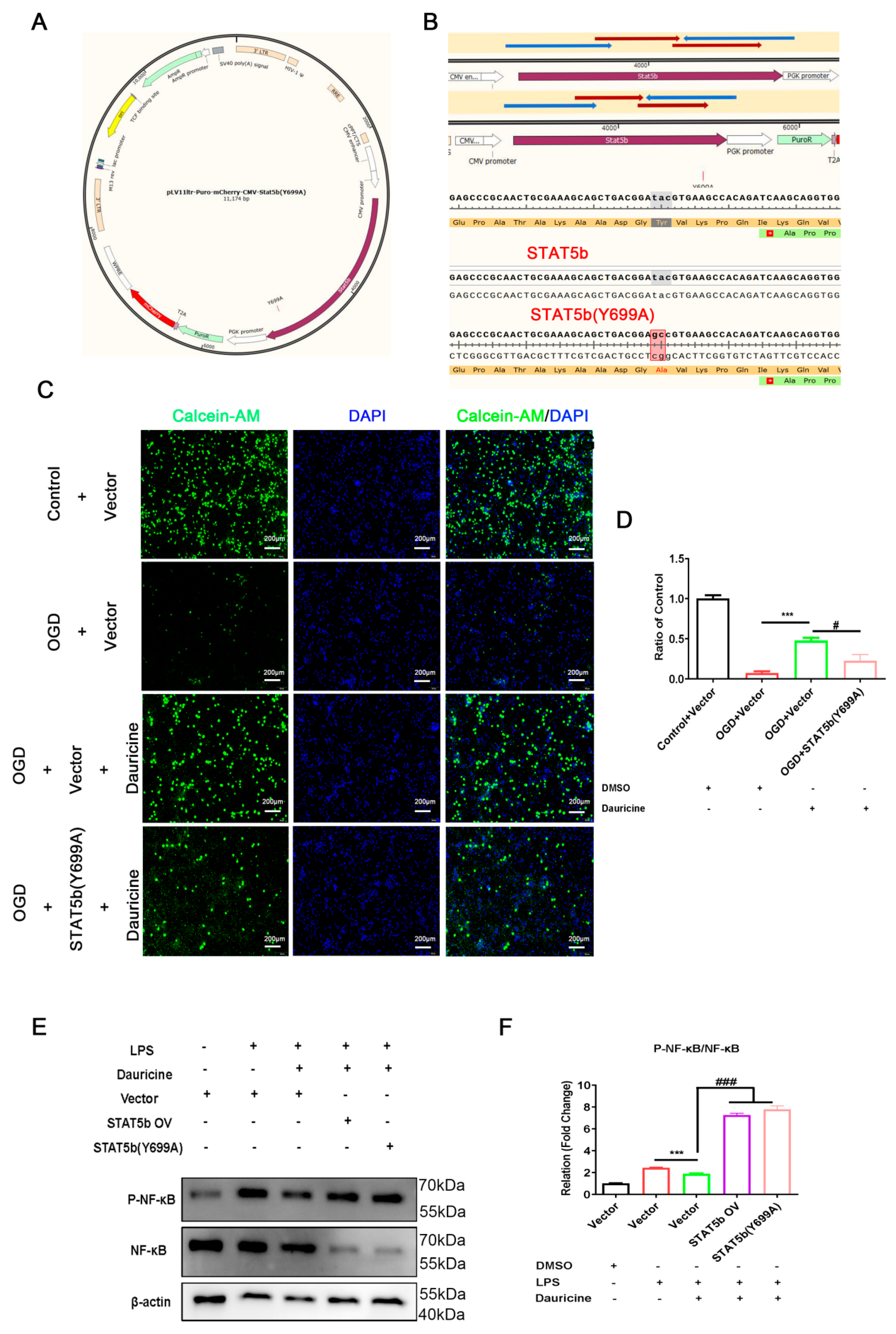 Brainsci 12 01153 g007 550