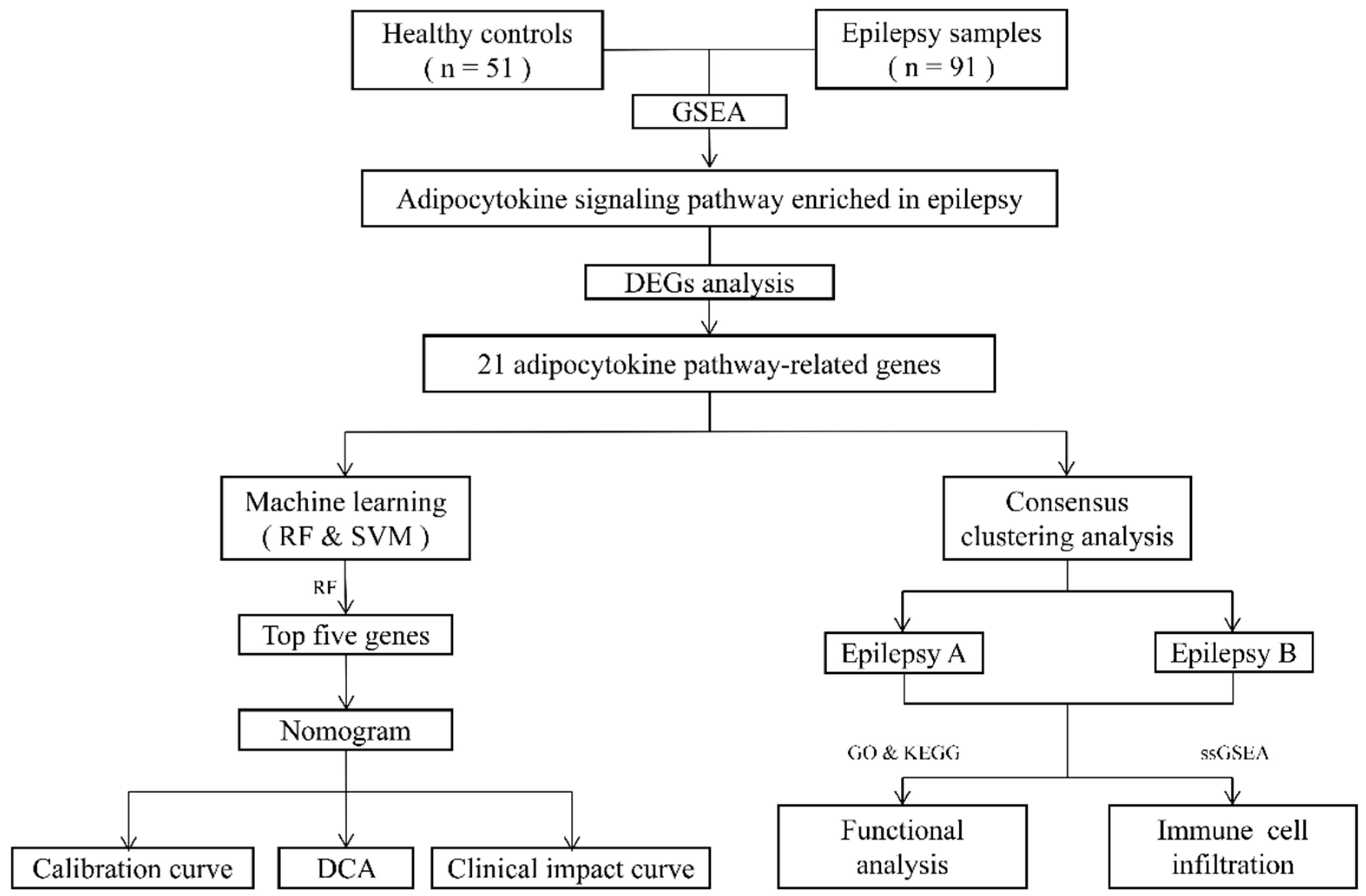 Brainsci 12 01156 g001 Brainsci 12 01156 g001