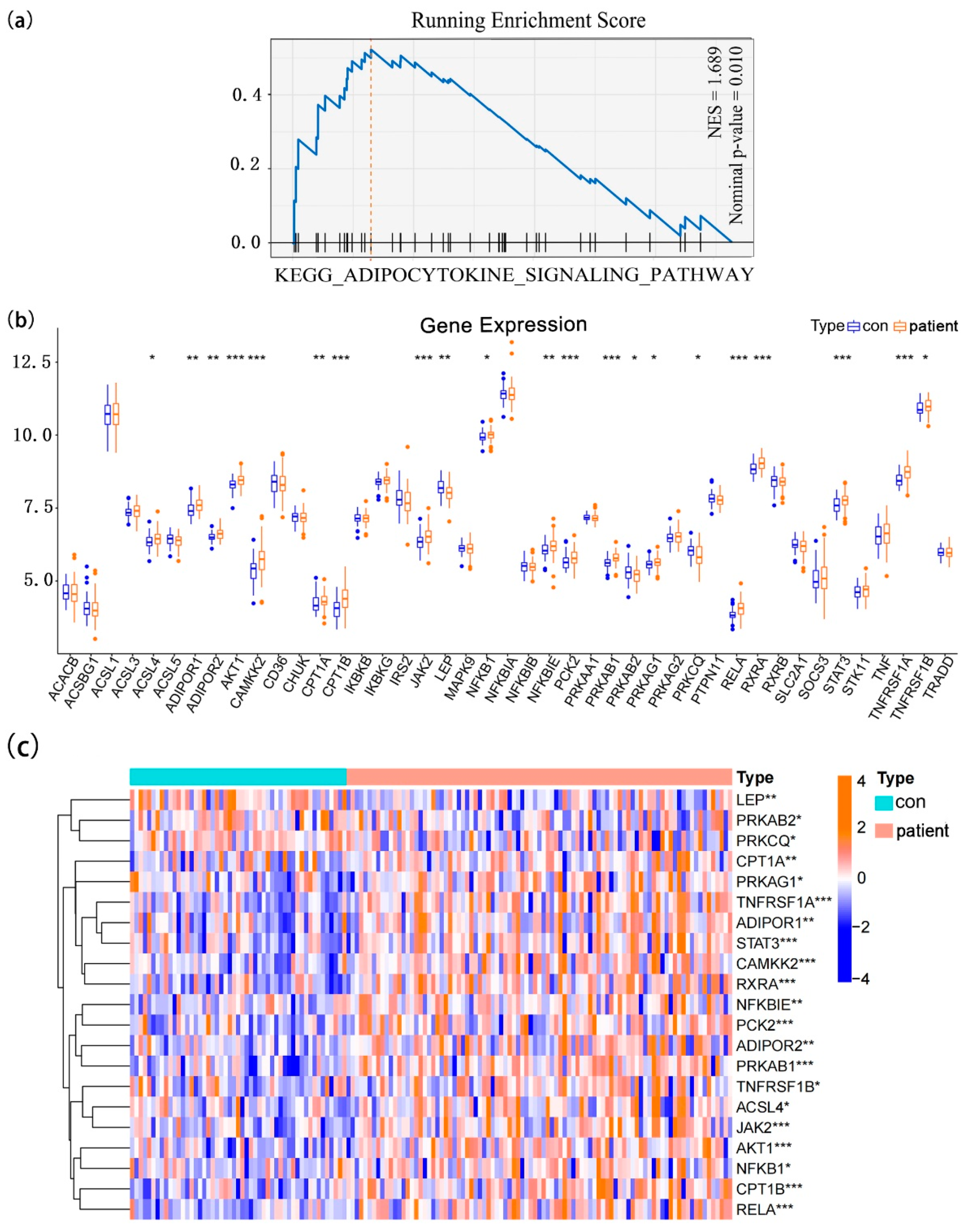 Brainsci 12 01156 g002 Brainsci 12 01156 g002