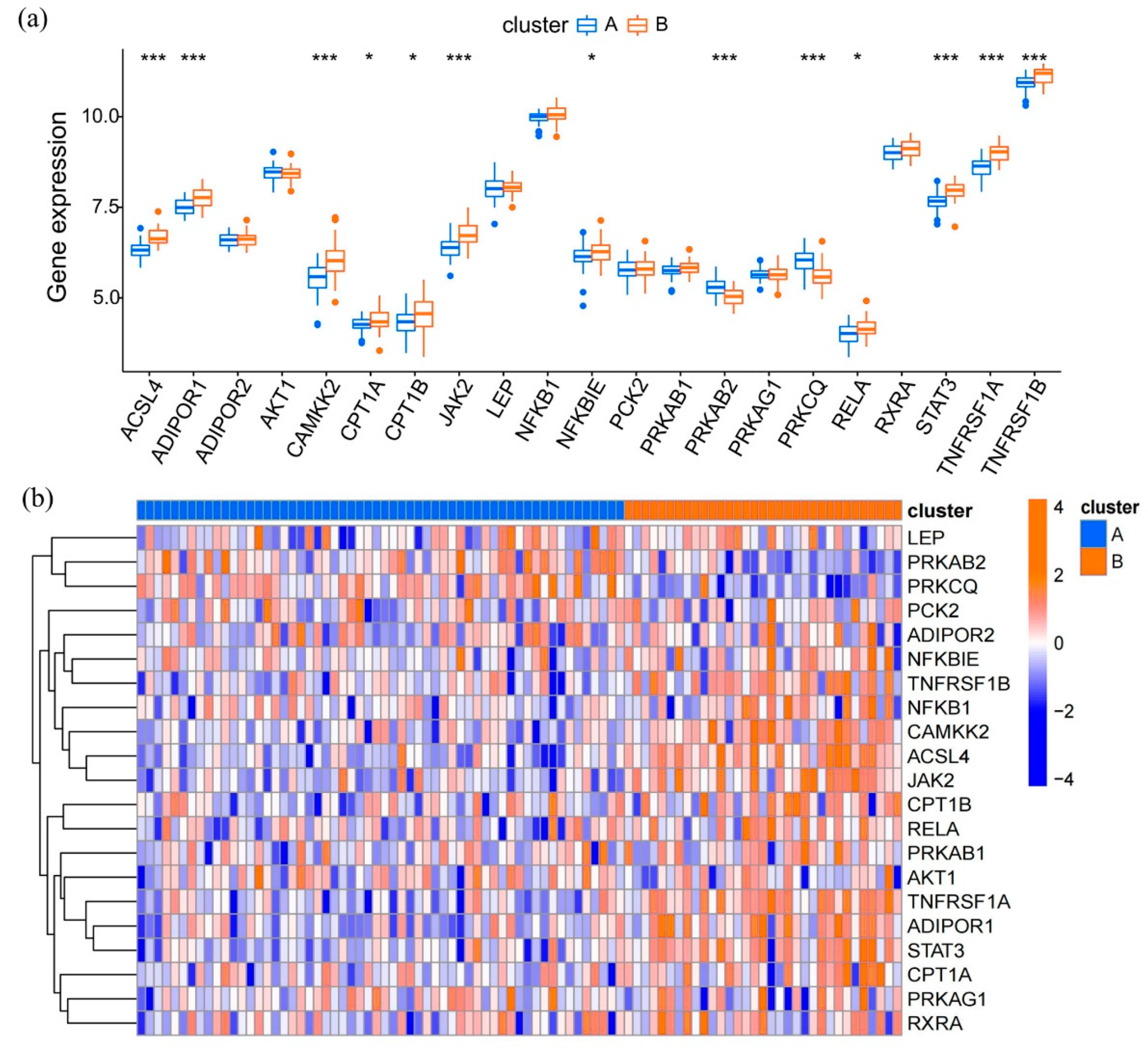 Brainsci 12 01156 g006 Brainsci 12 01156 g006