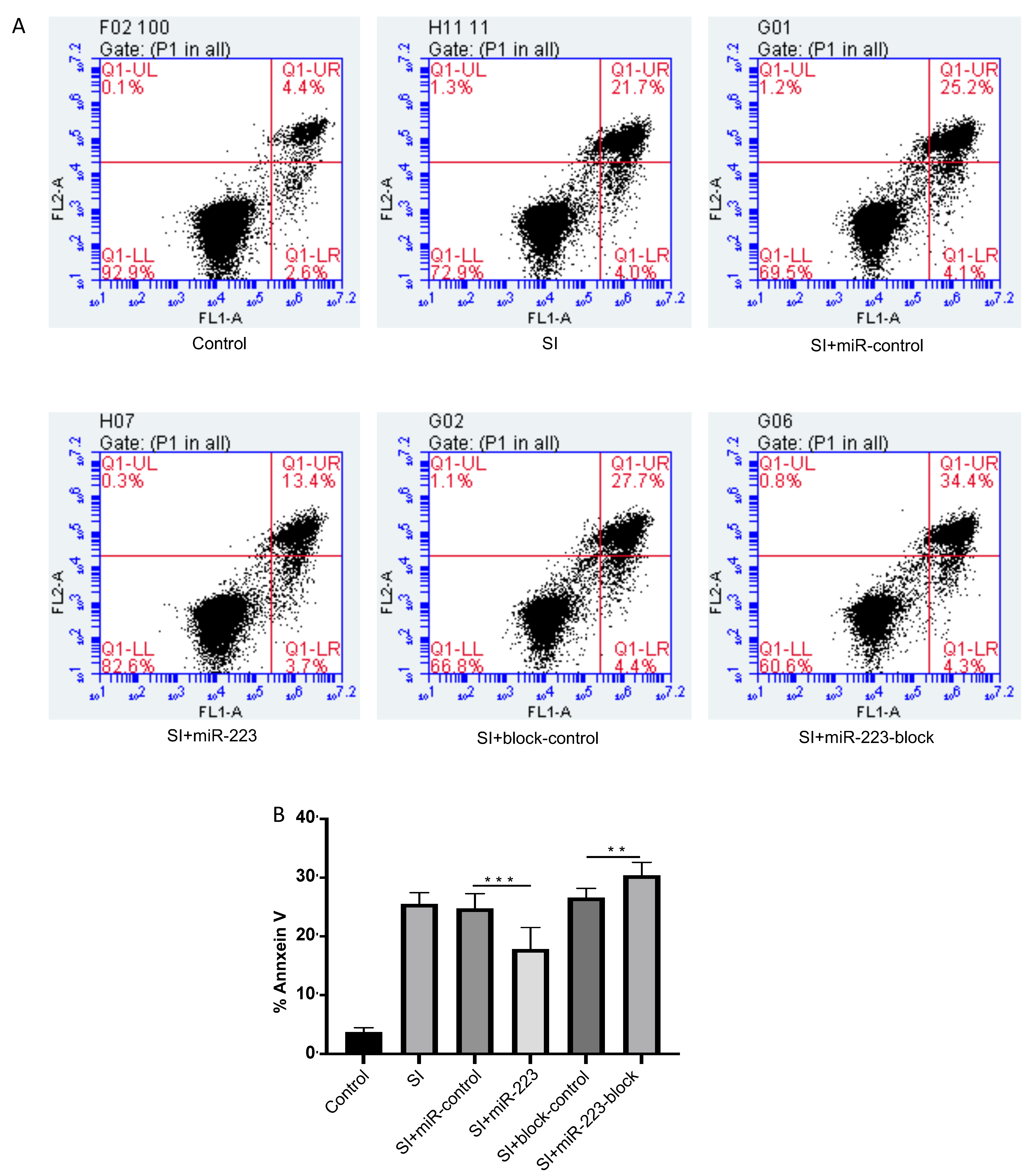 Brainsci 12 01157 g004 Brainsci 12 01157 g004
