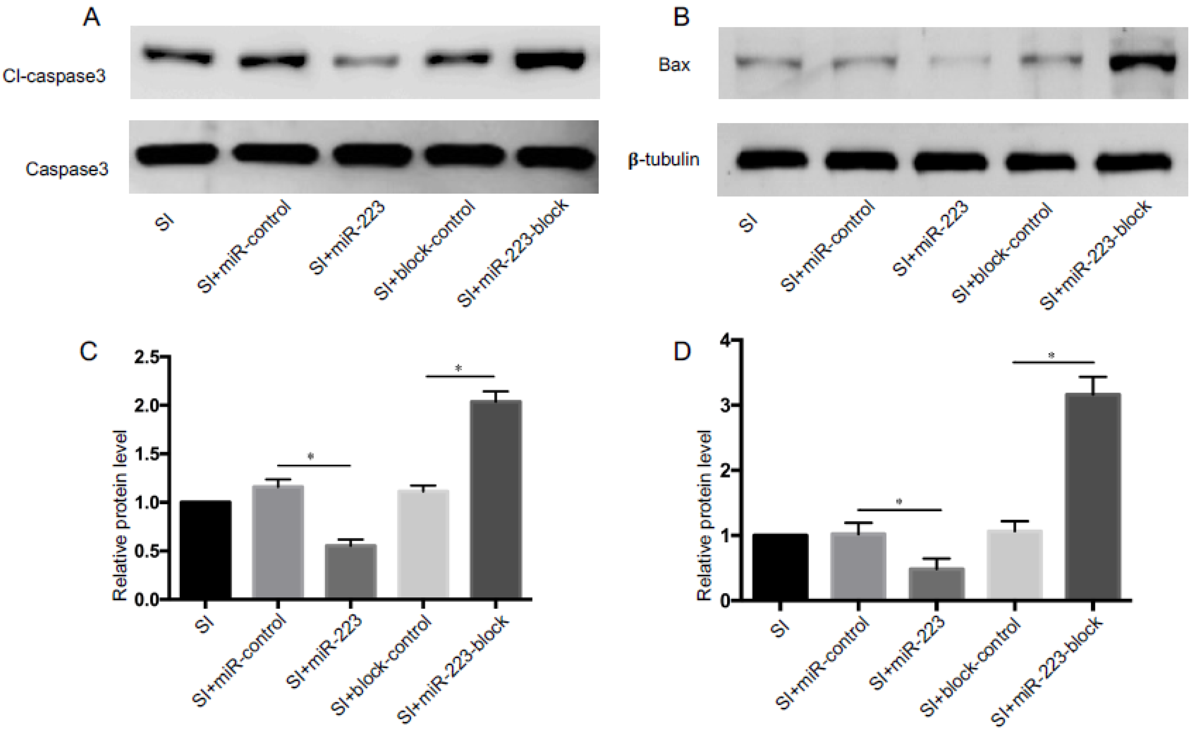 Brainsci 12 01157 g005 Brainsci 12 01157 g005