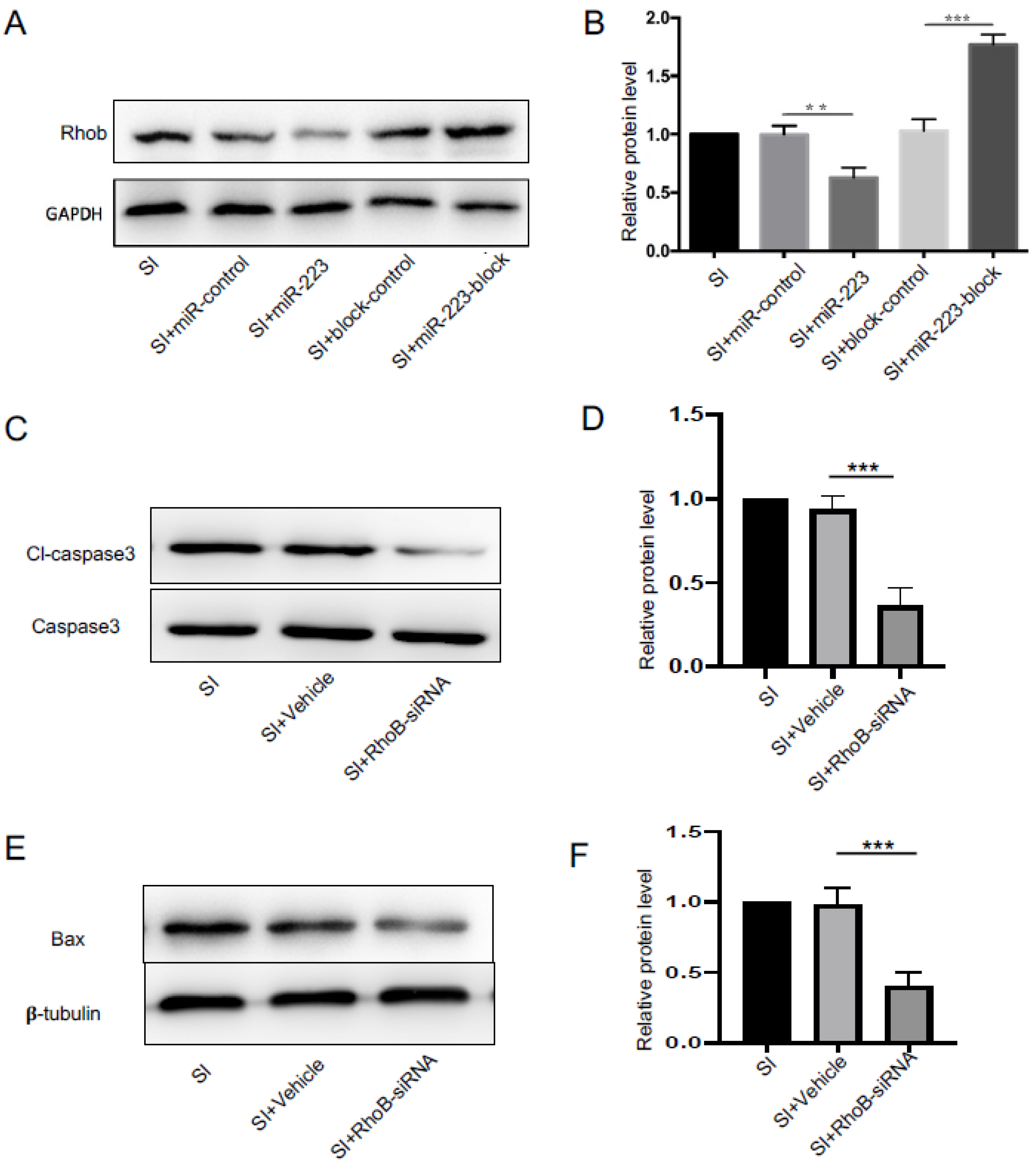 Brainsci 12 01157 g006 Brainsci 12 01157 g006