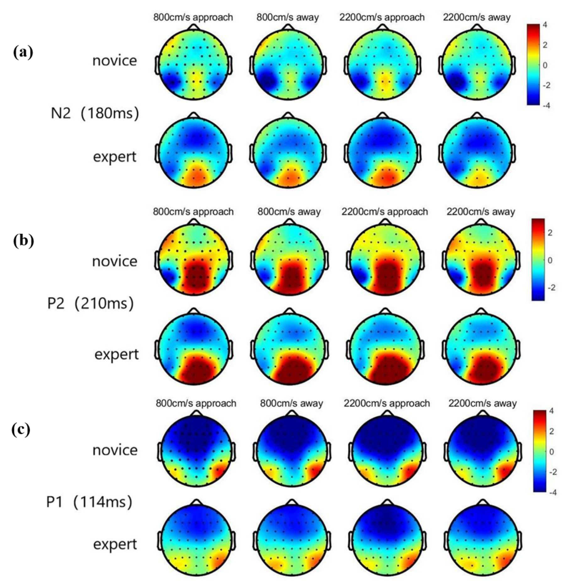Brainsci 12 01160 g004 Brainsci 12 01160 g004