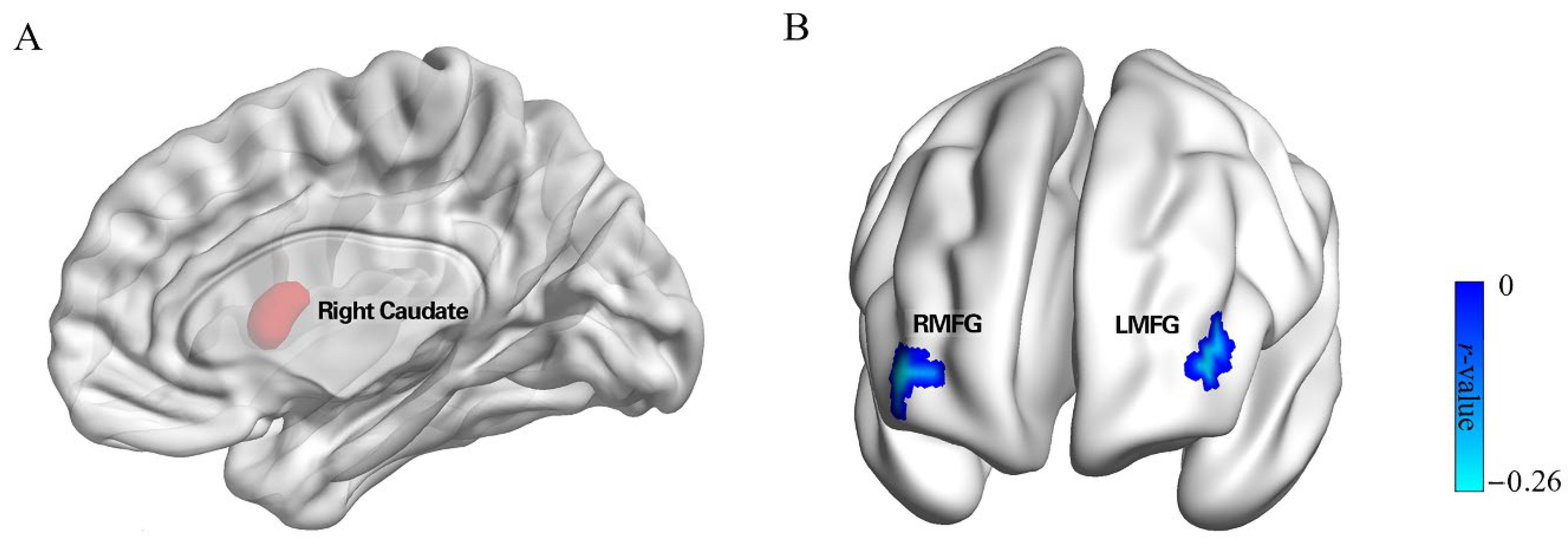 Brainsci 12 01163 g002