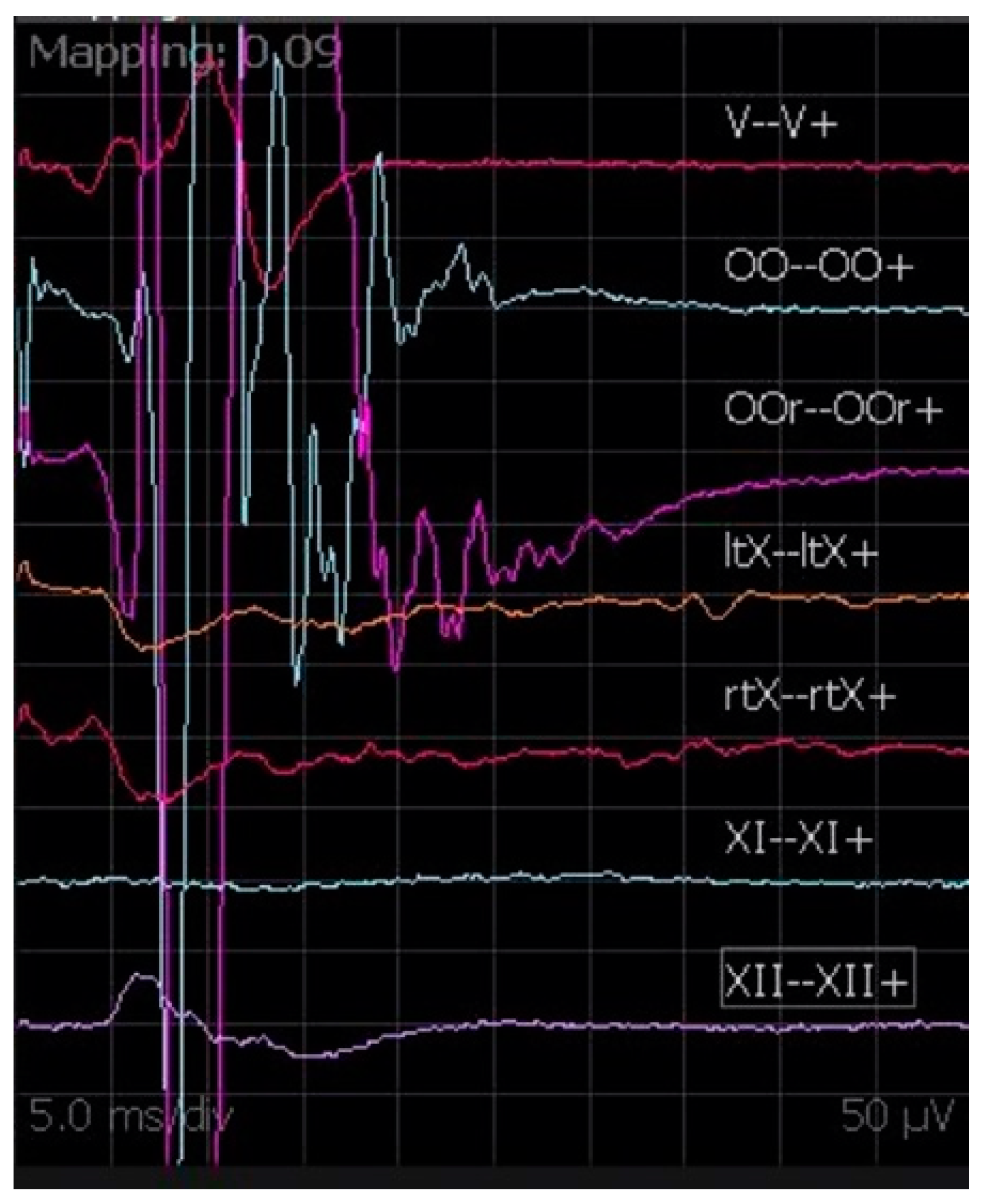Brainsci 12 01167 g008 Brainsci 12 01167 g008