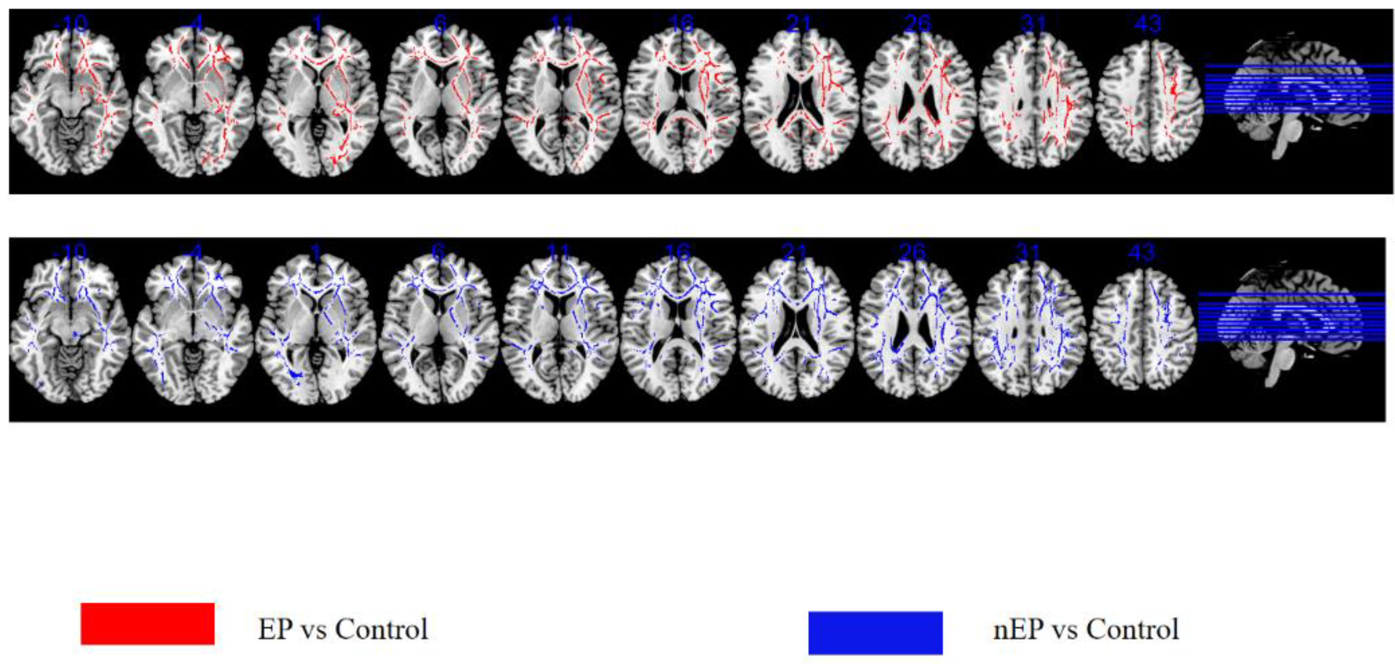 Brainsci 12 01169 g001 Brainsci 12 01169 g001