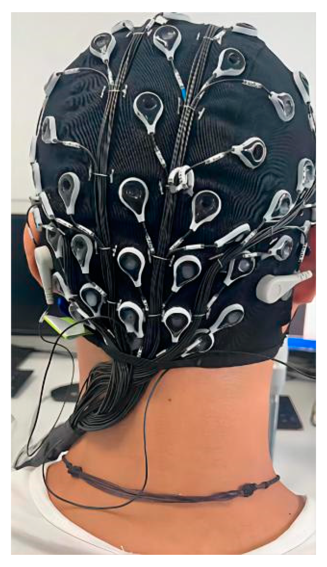 Brainsci 12 01173 g001