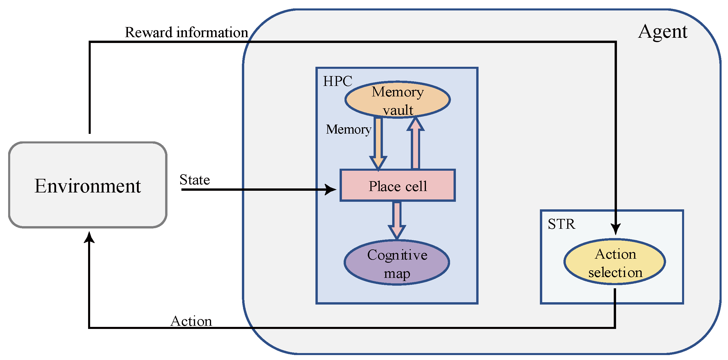 Brain Sciences, Free Full-Text