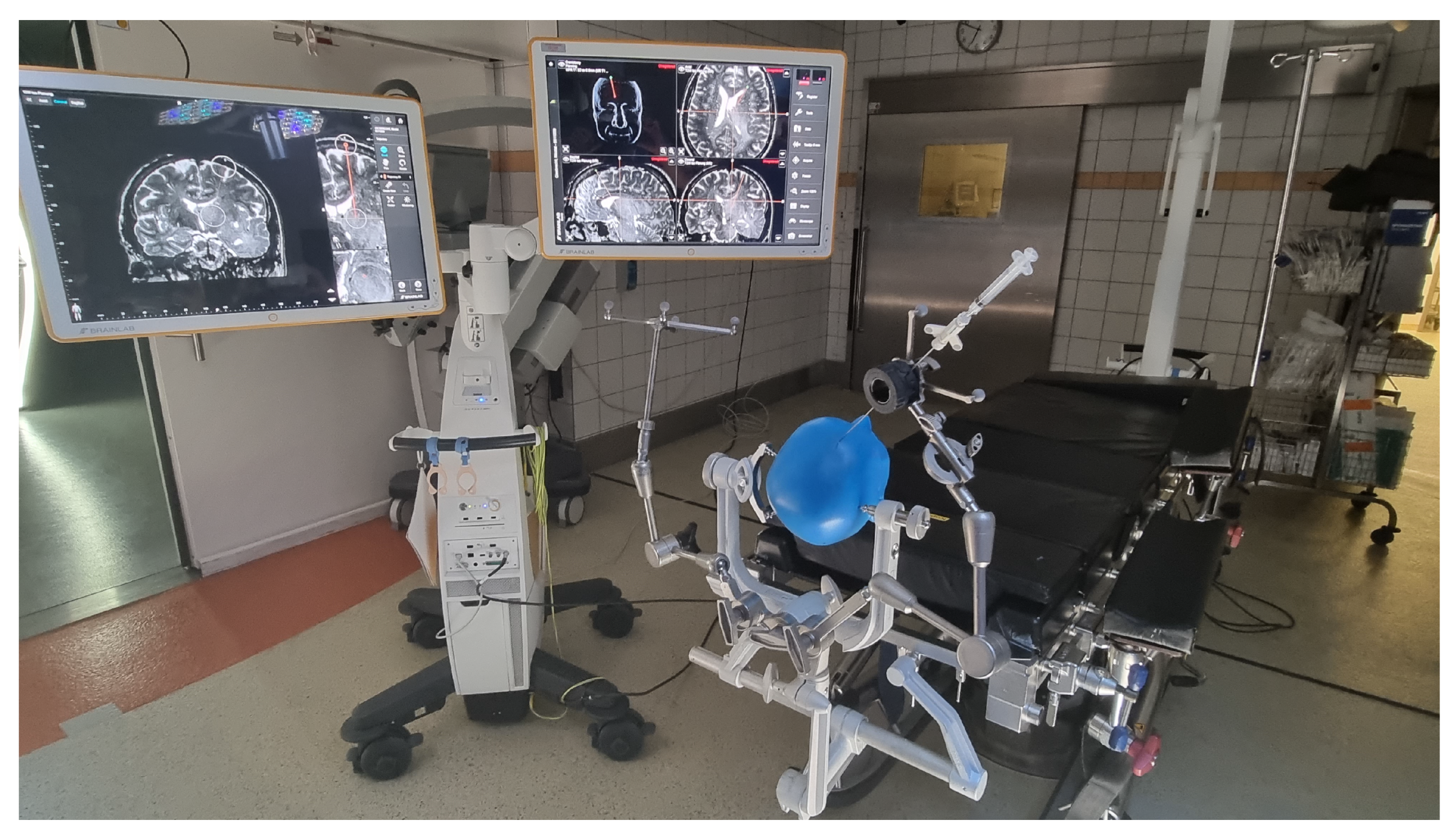 Brainsci 12 01178 g001