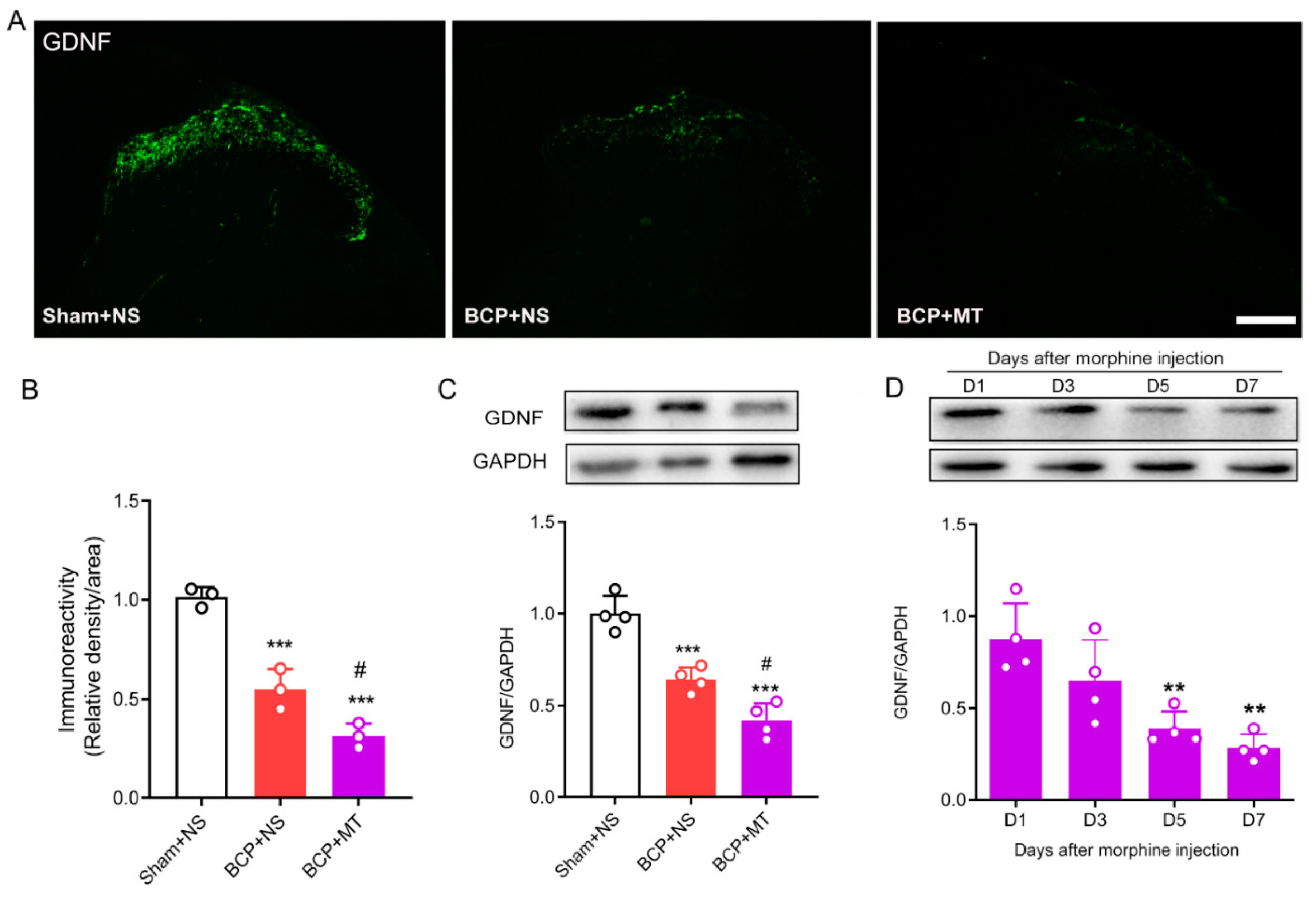 Brainsci 12 01188 g003 550