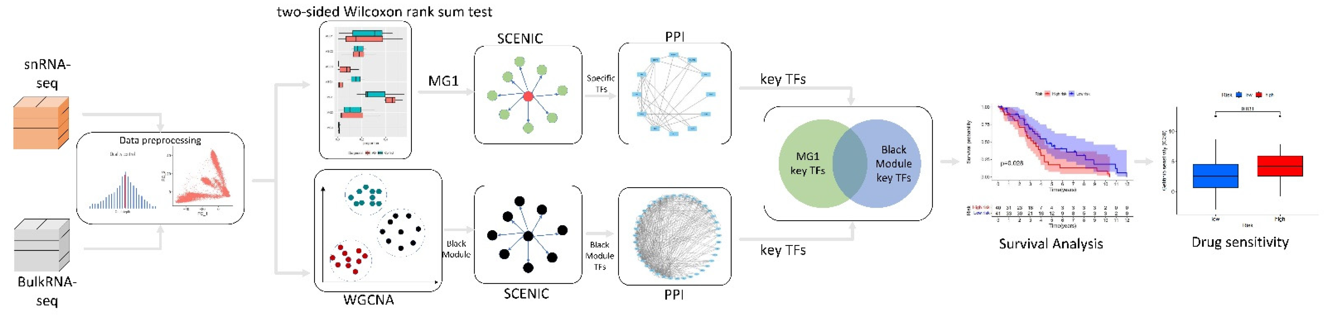 Brainsci 12 01196 g001