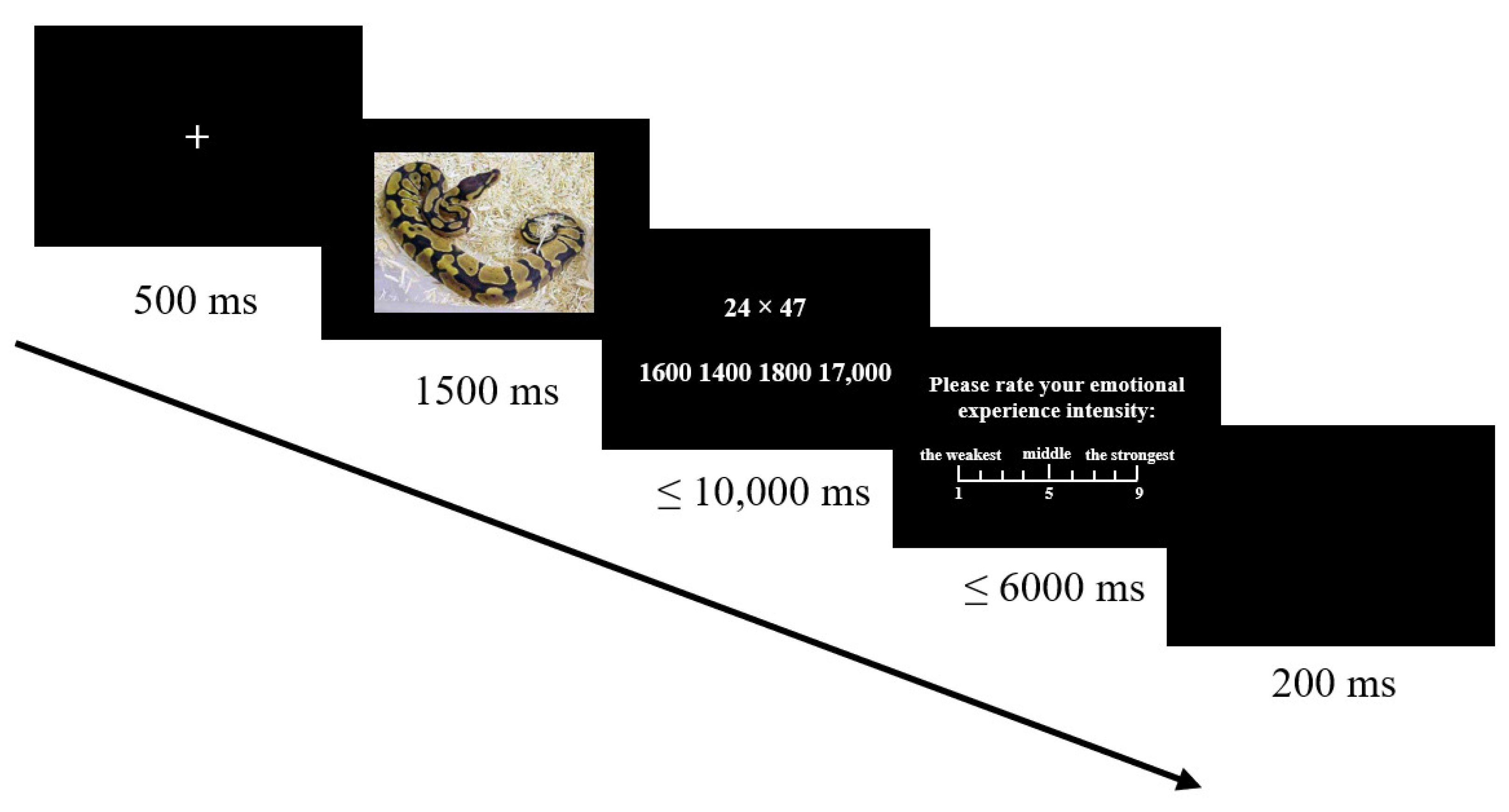 Brainsci 12 01204 g001