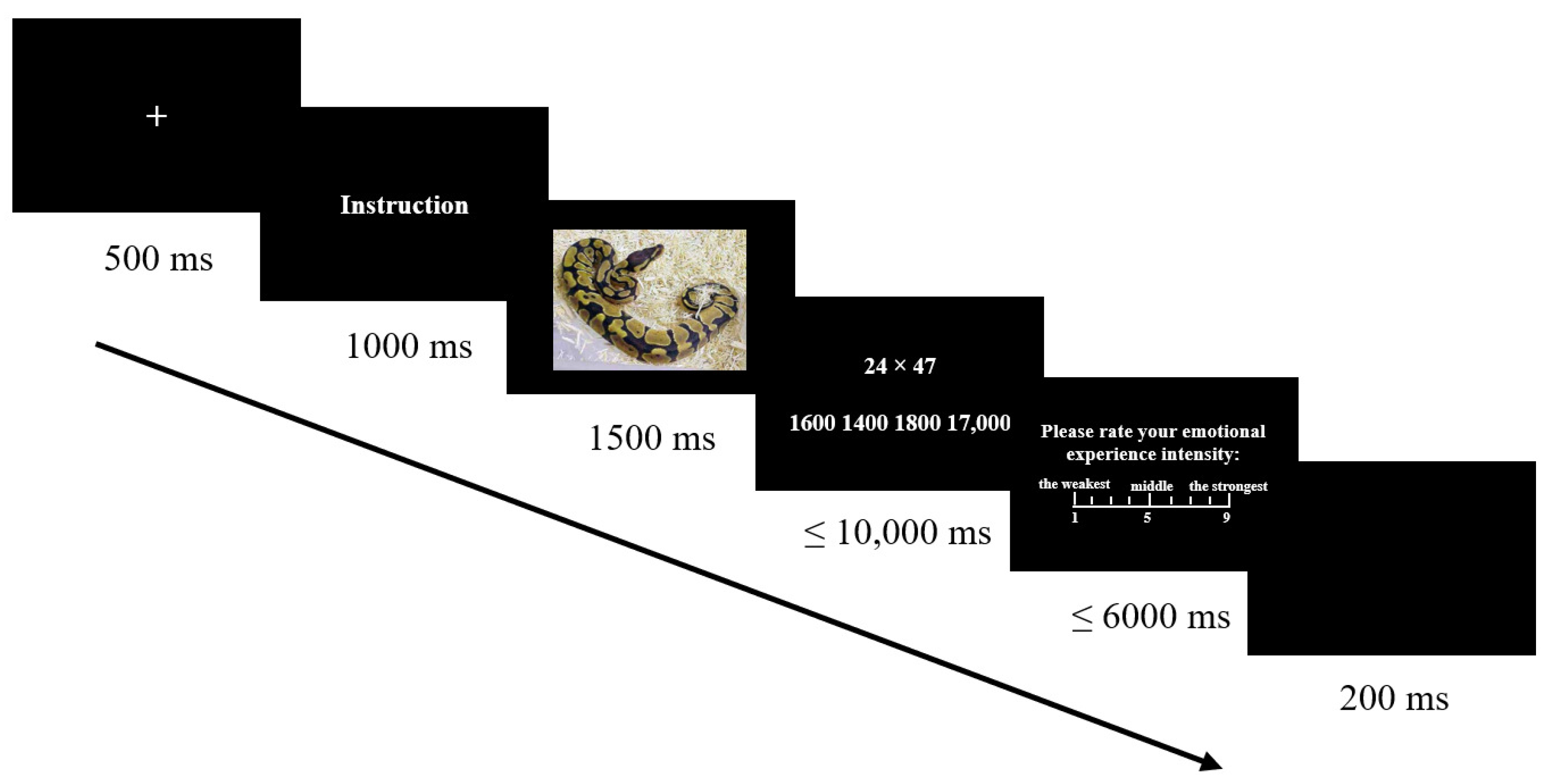 Brainsci 12 01204 g002