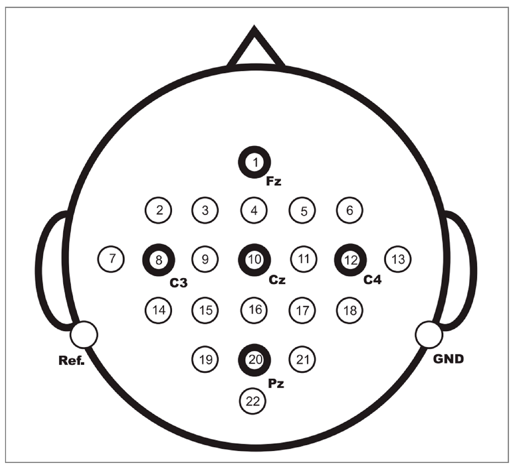 Brainsci 12 01233 g005