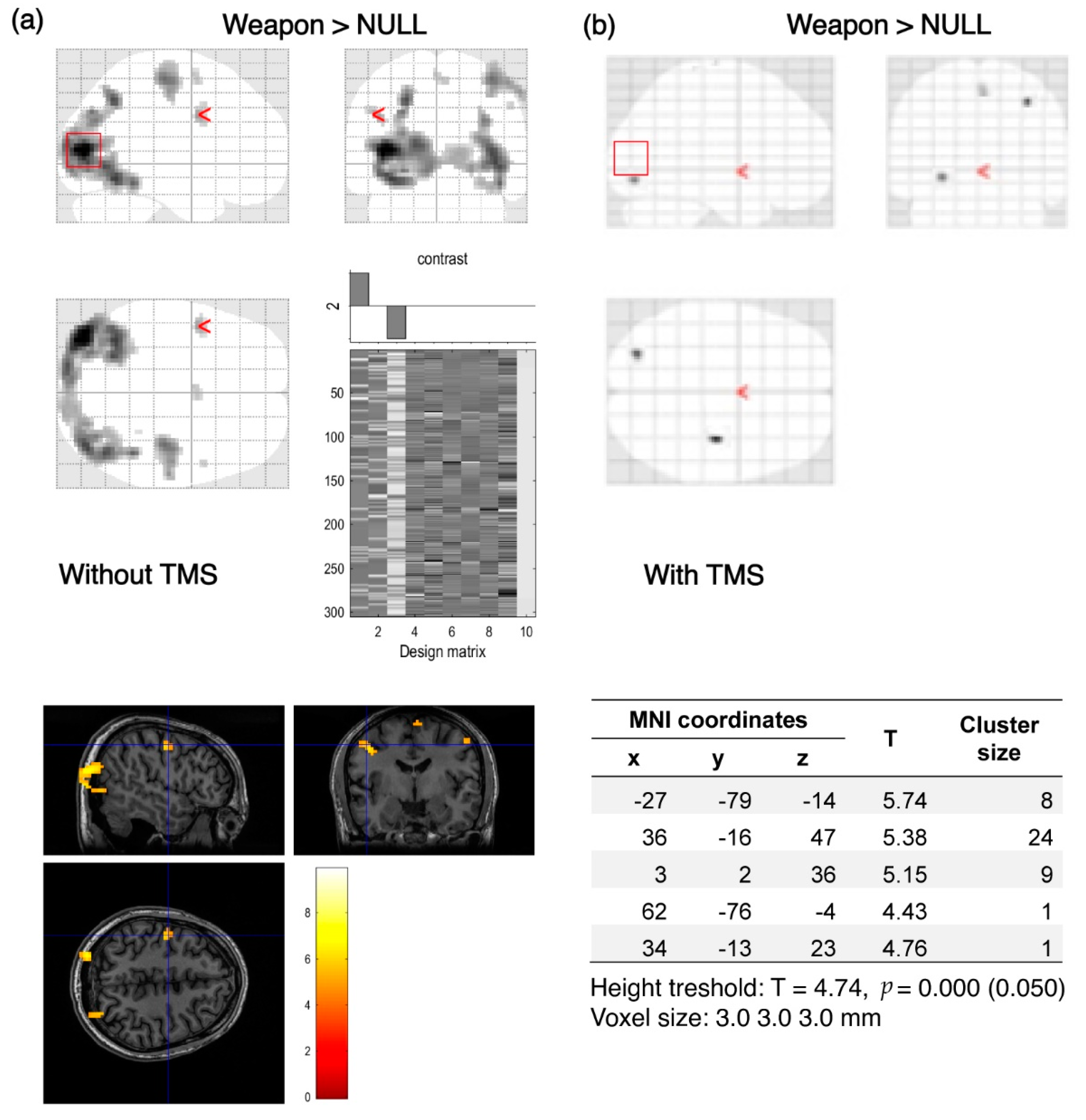 Brainsci 12 01241 g005 550