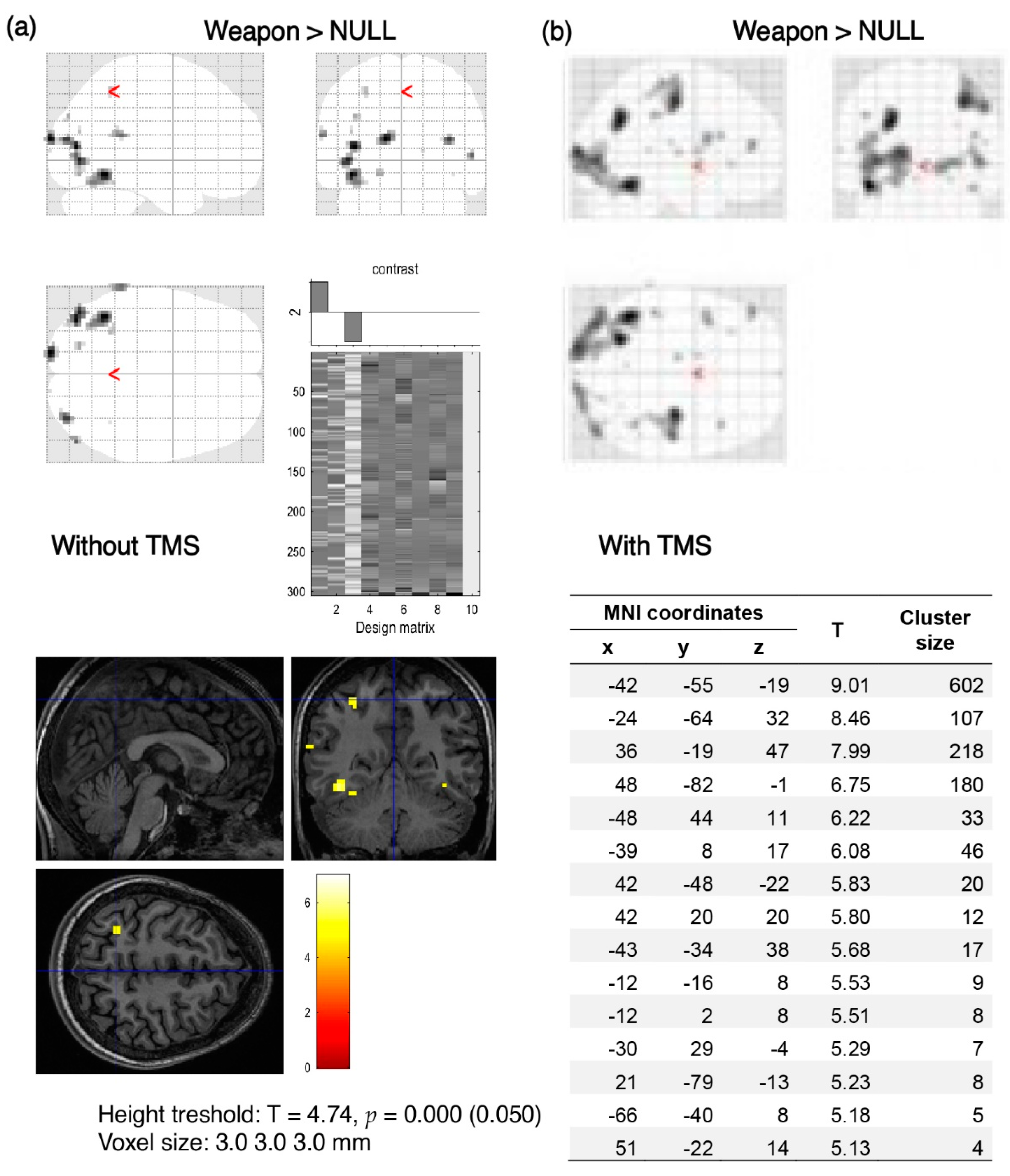 Brainsci 12 01241 g006 550
