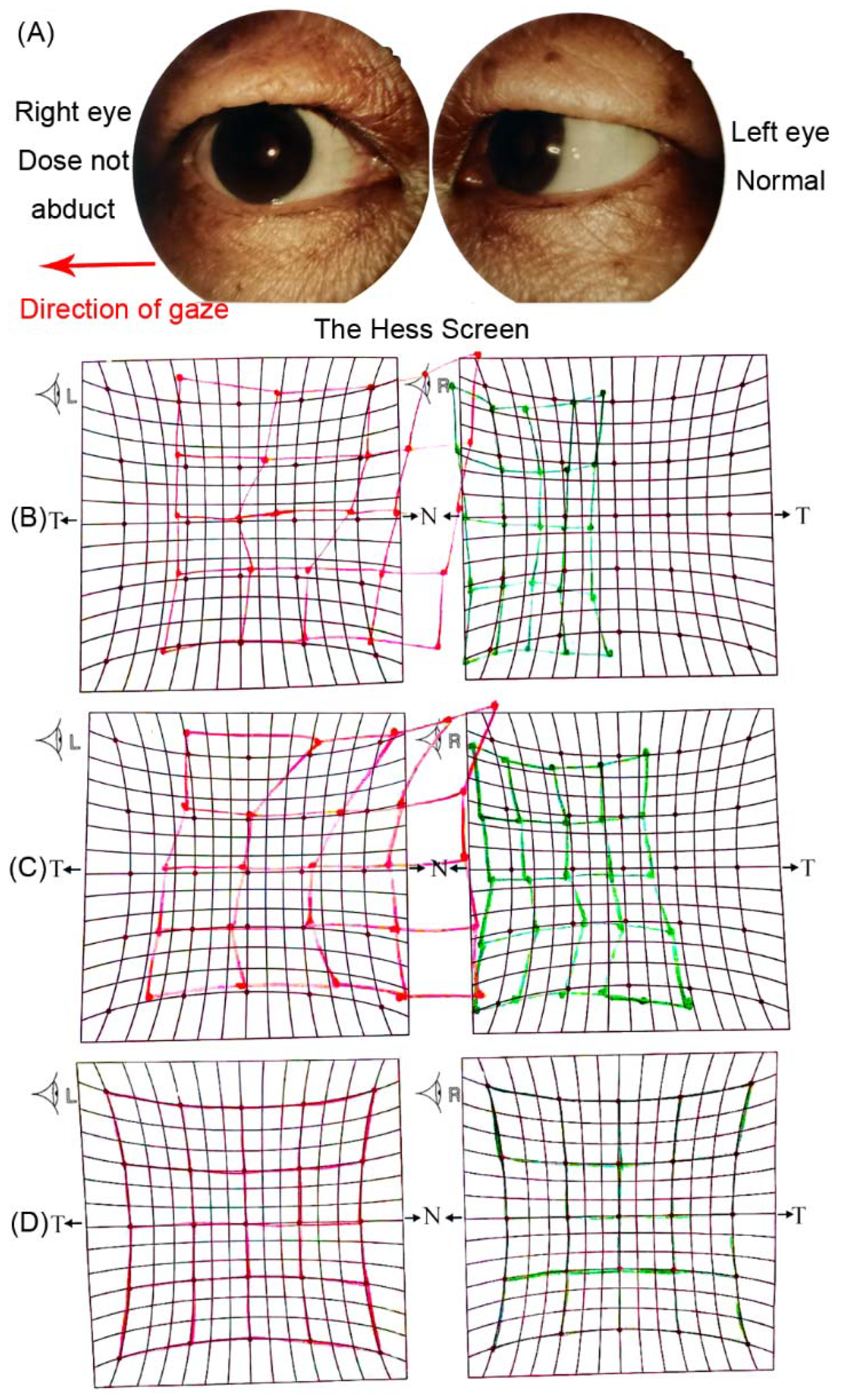 Brainsci 12 01242 g001 550