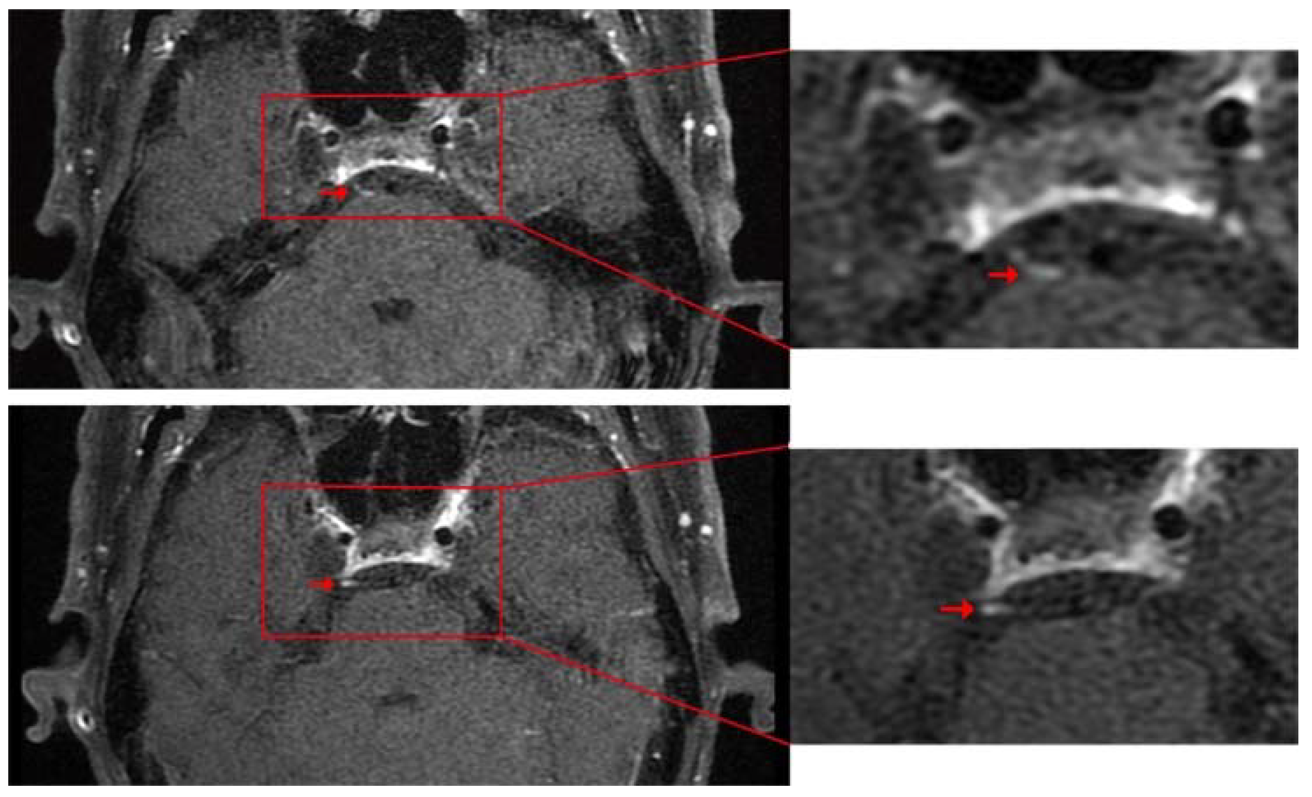 Brainsci 12 01242 g002 550