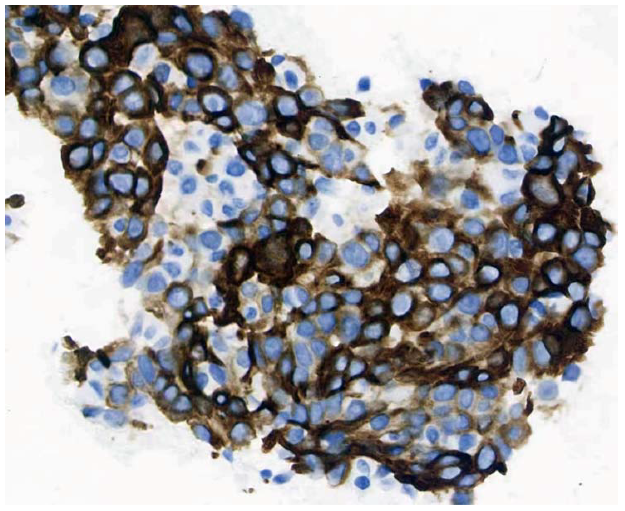 Brainsci 12 01242 g004 550