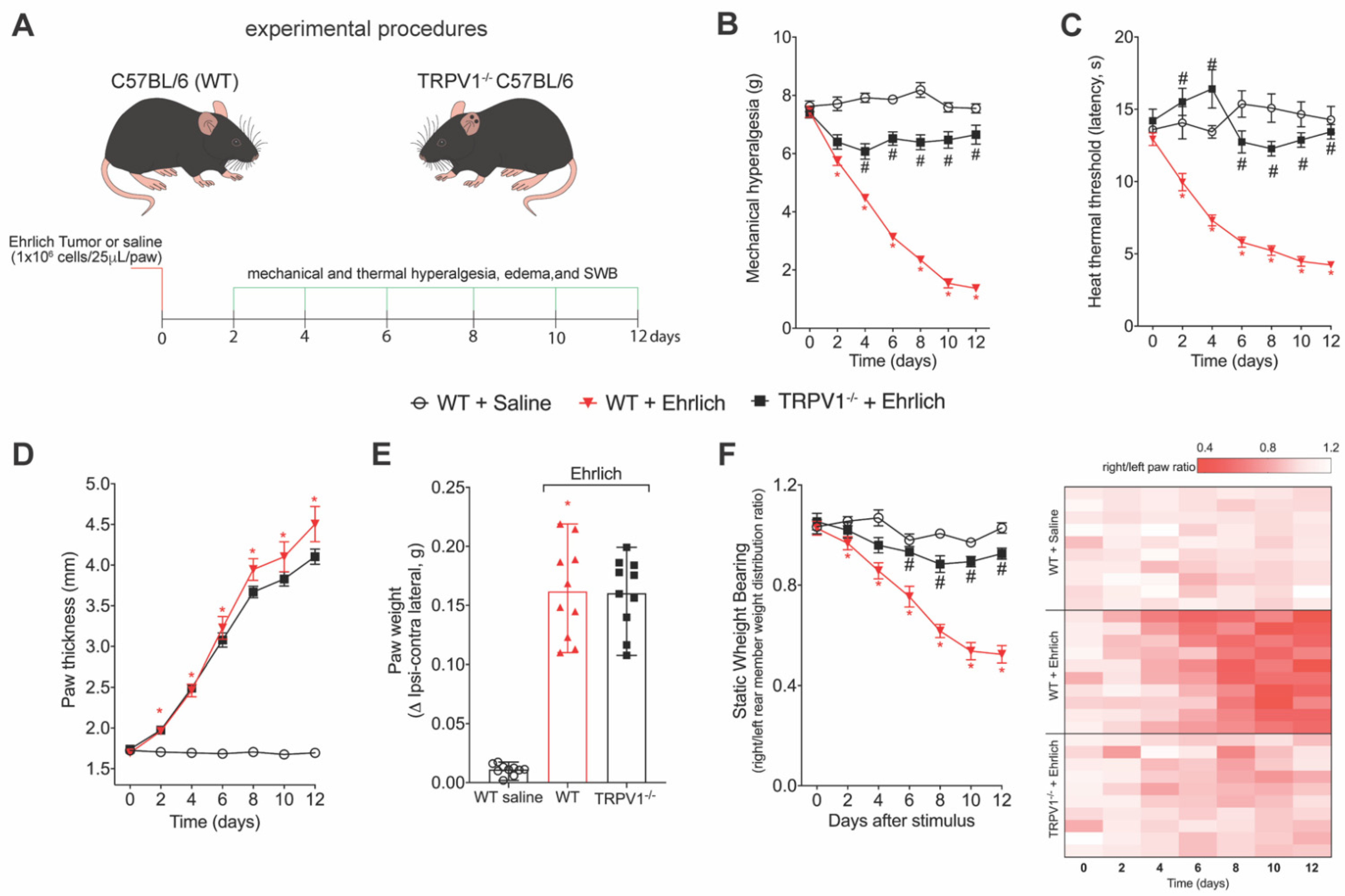 Brainsci 12 01247 g002