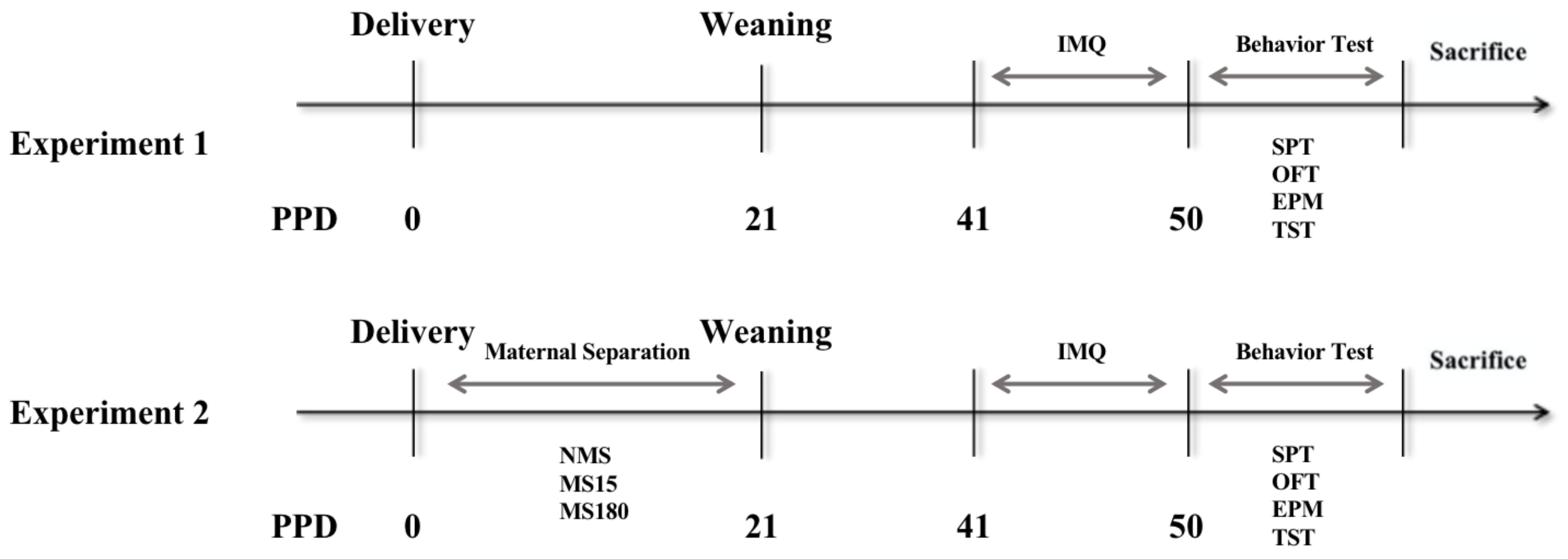 Brainsci 12 01250 g001 Brainsci 12 01250 g001