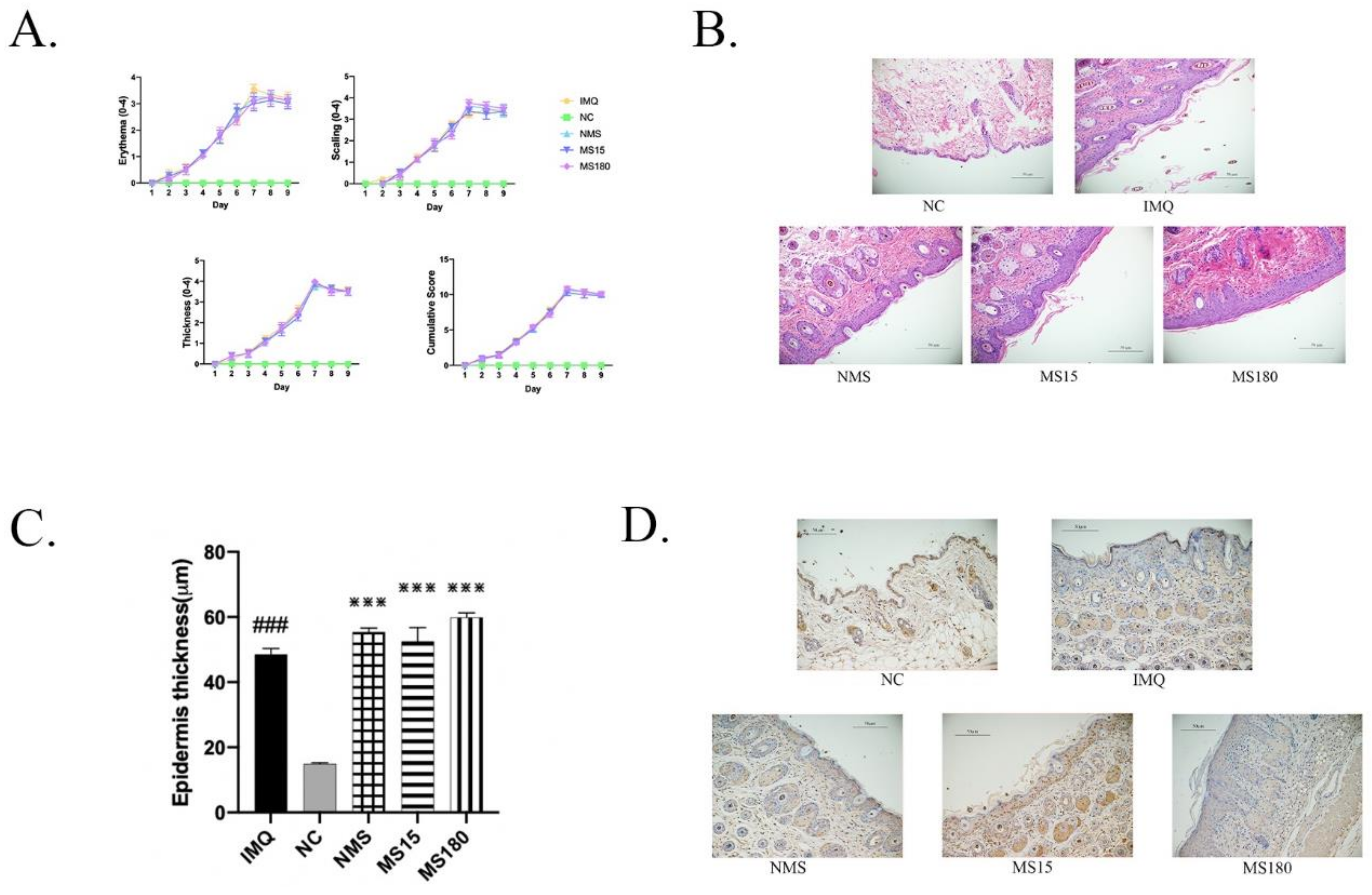 Brainsci 12 01250 g002 Brainsci 12 01250 g002