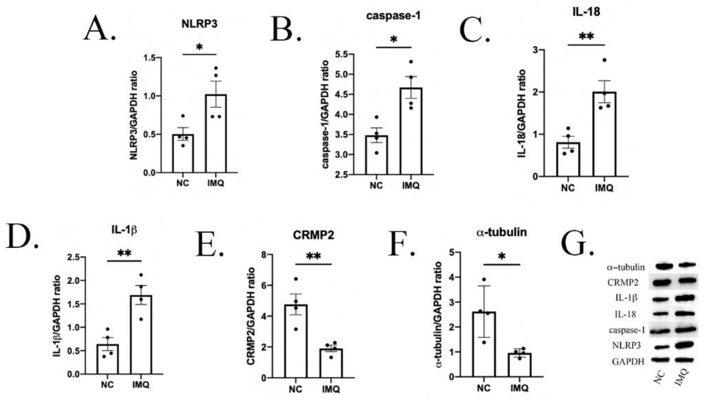 Brainsci 12 01250 g004 Brainsci 12 01250 g004