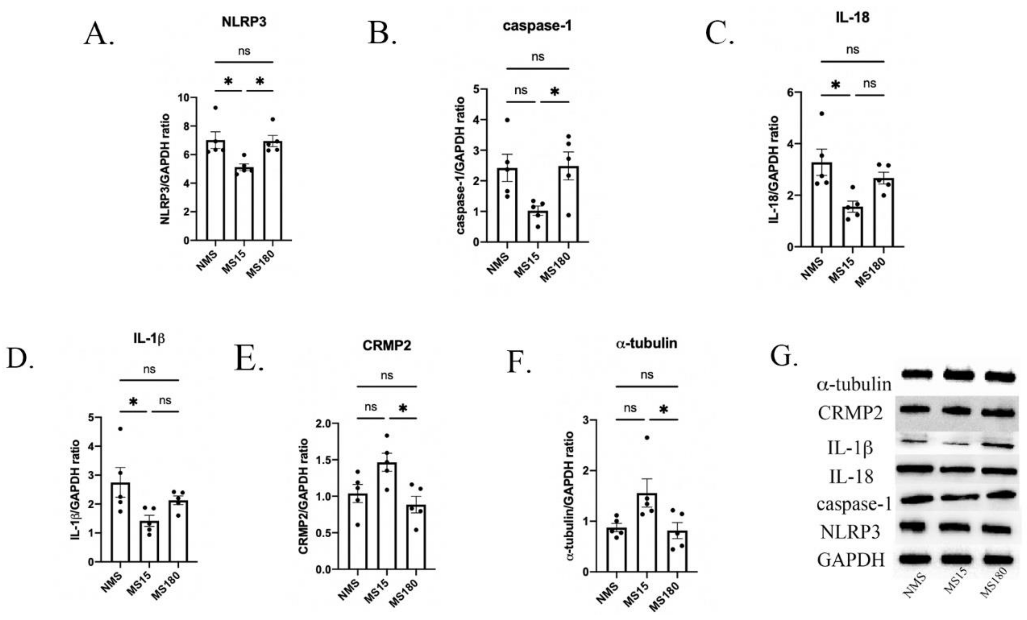 Brainsci 12 01250 g007 Brainsci 12 01250 g007