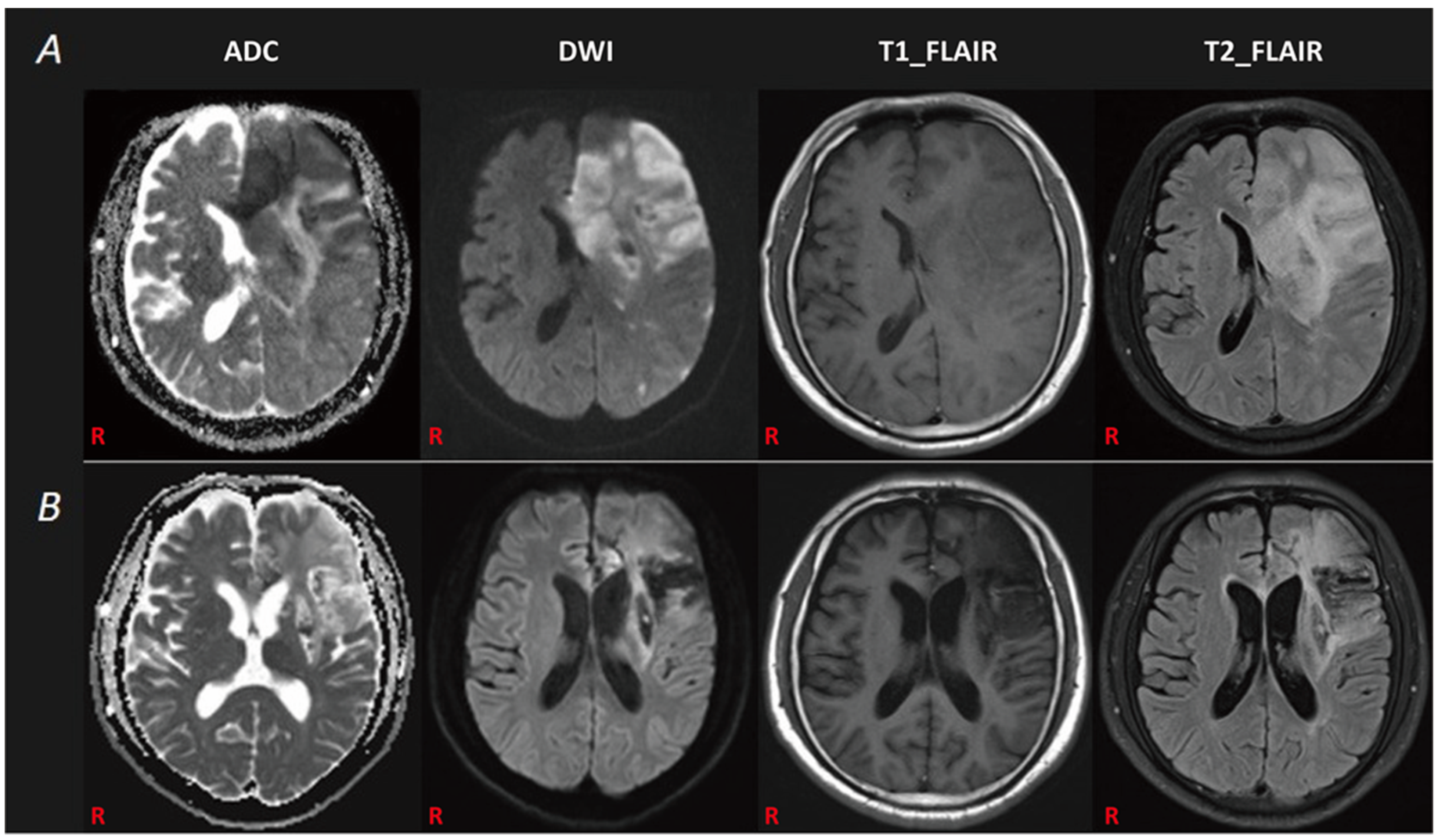 Brainsci 12 01253 g001