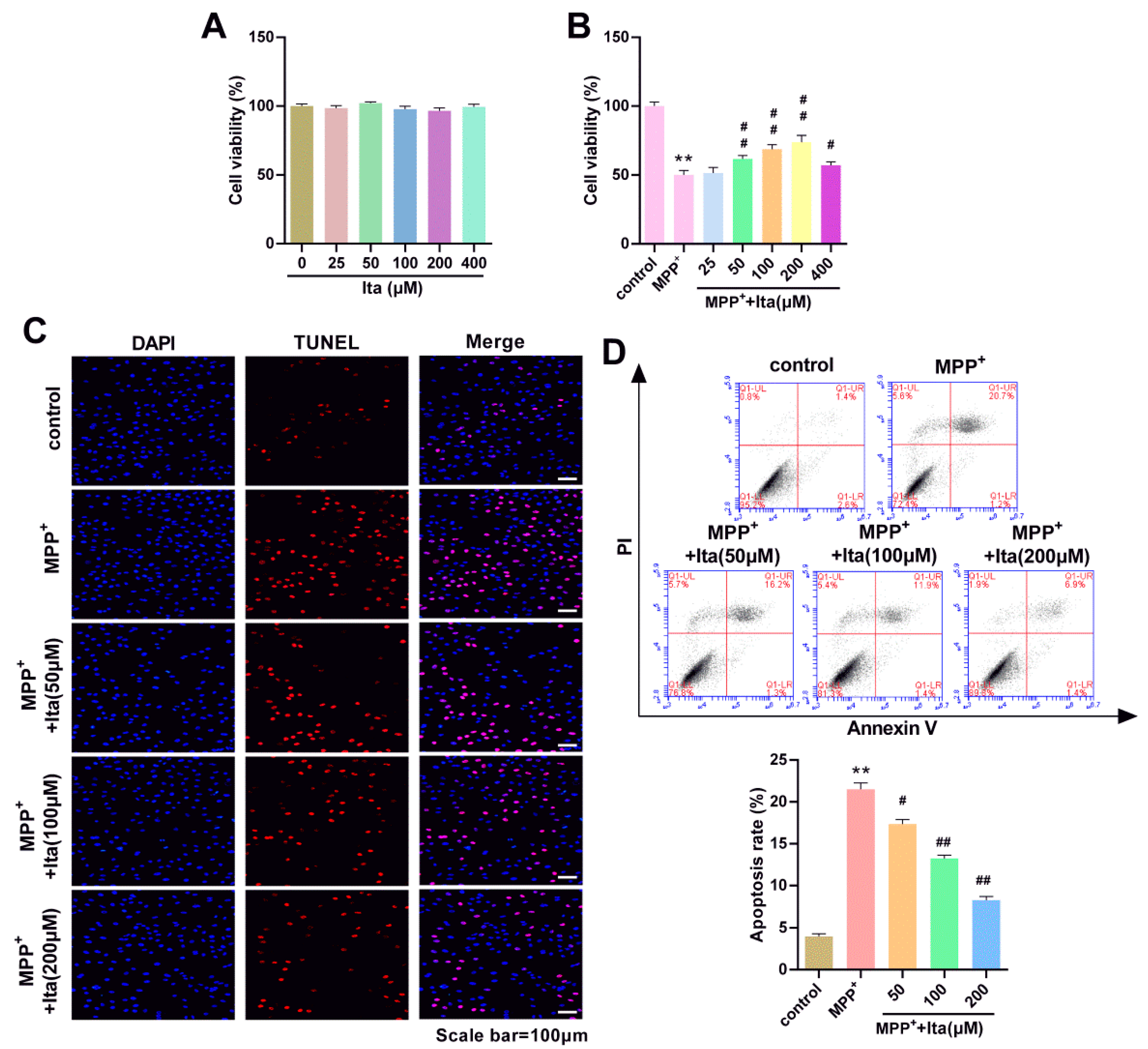 Brainsci 12 01255 g005
